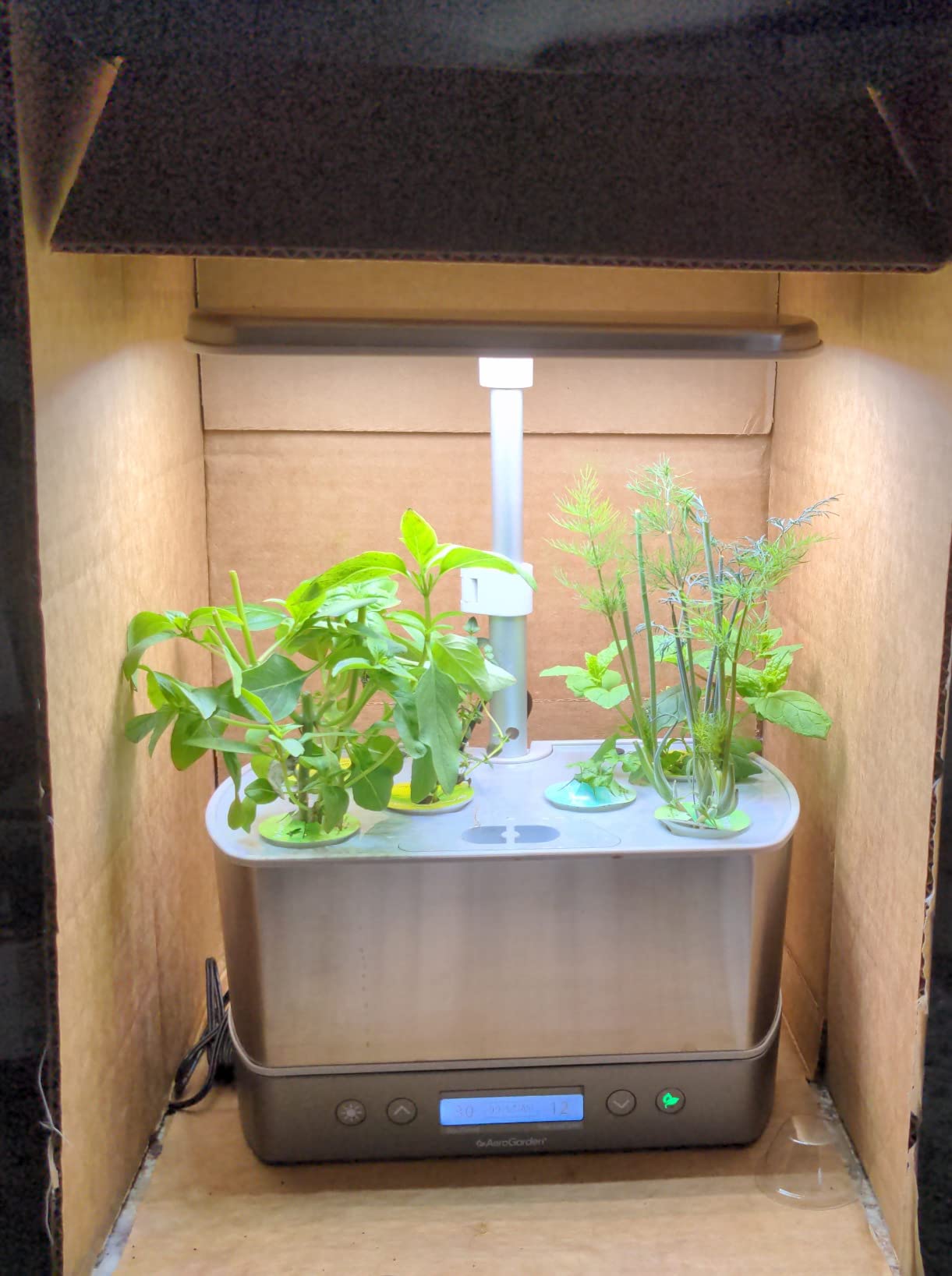 AeroGarden Harvest Elite, Stainless Steel Indoor Garden with LED Grow Light and Seed Pod Kit customer photo 2