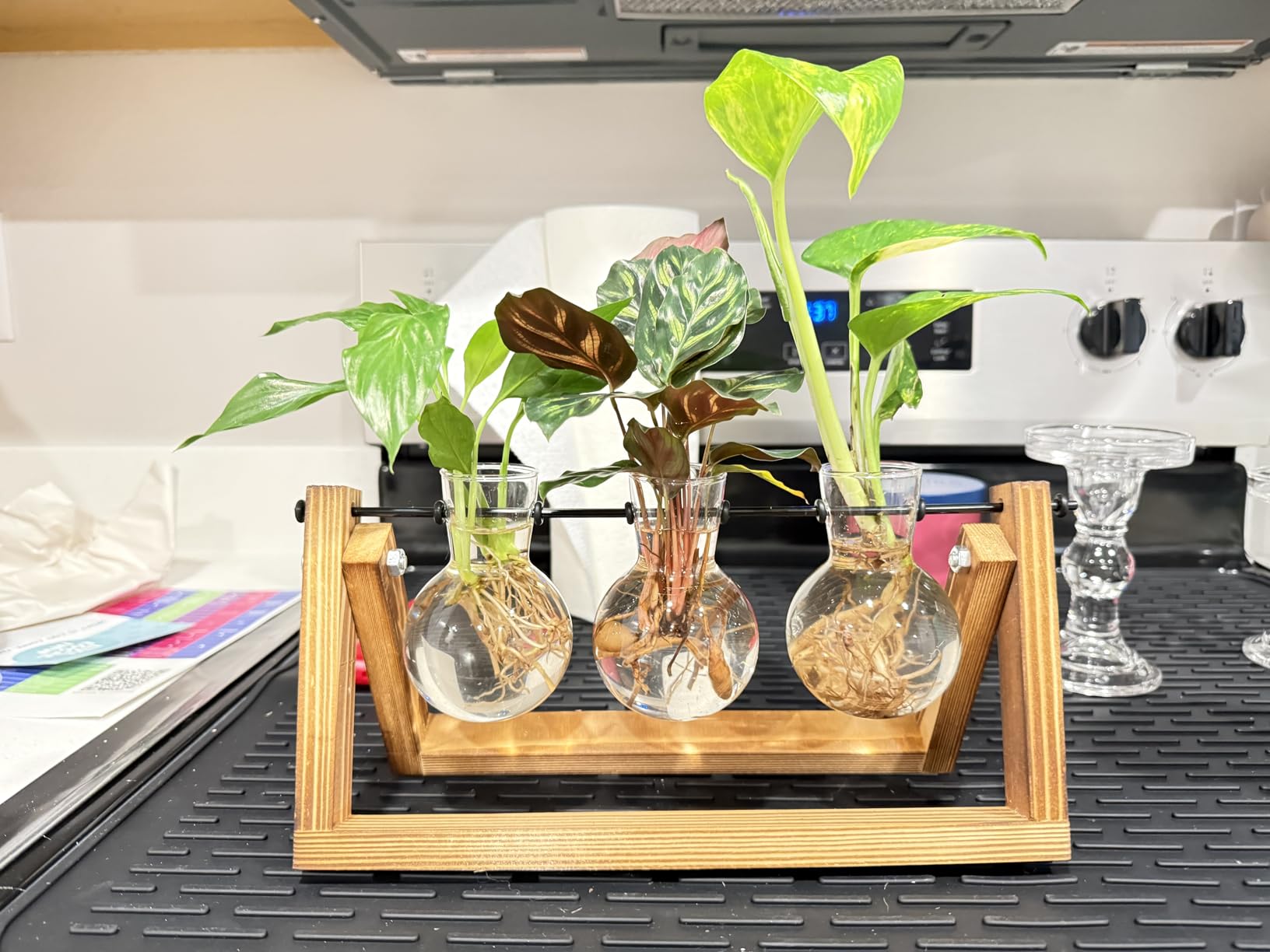XXXFLOWER Plant Terrarium with Wooden Stand, Air Planter Bulb Glass Vase Metal Swivel Holder Retro Tabletop for Hydroponics Home Garden Office Decoration - 3 Bulb Vase customer photo 1