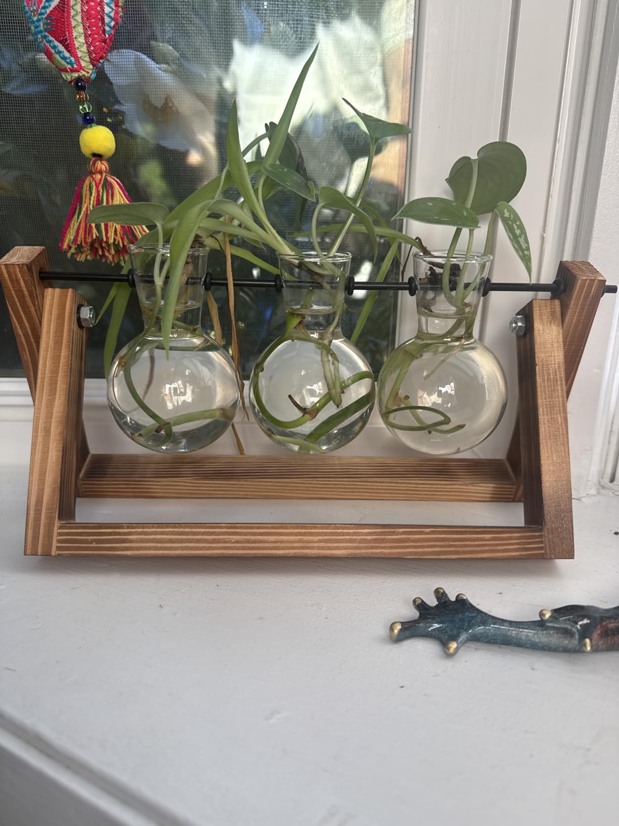 XXXFLOWER Plant Terrarium with Wooden Stand, Air Planter Bulb Glass Vase Metal Swivel Holder Retro Tabletop for Hydroponics Home Garden Office Decoration - 3 Bulb Vase customer photo 2
