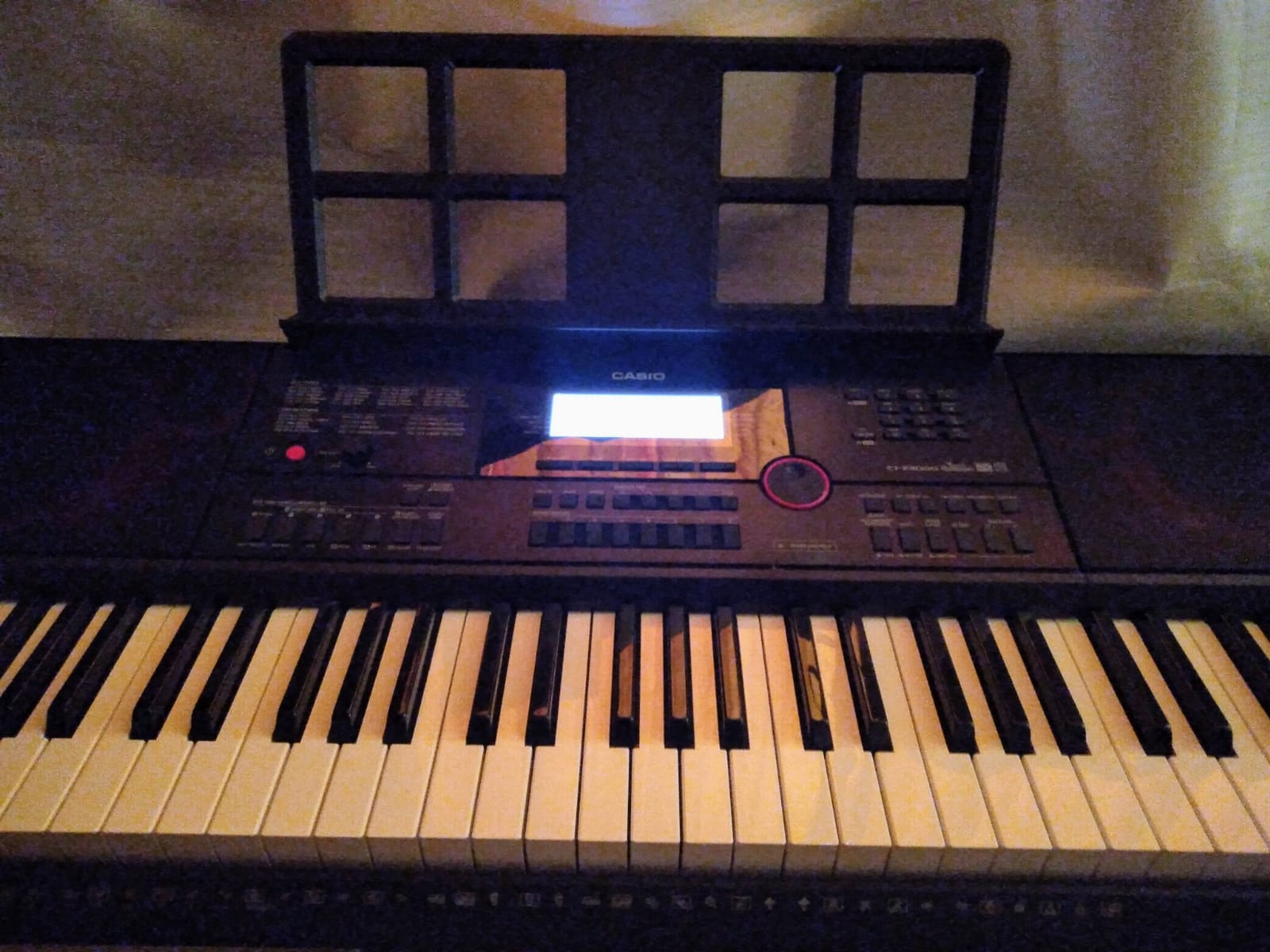 Casio CT-X3000 61-Key Portable Arranger Keyboard, 800 Tones, 235 Rhythms, DSP Effects, 17-Track Recorder customer photo 1