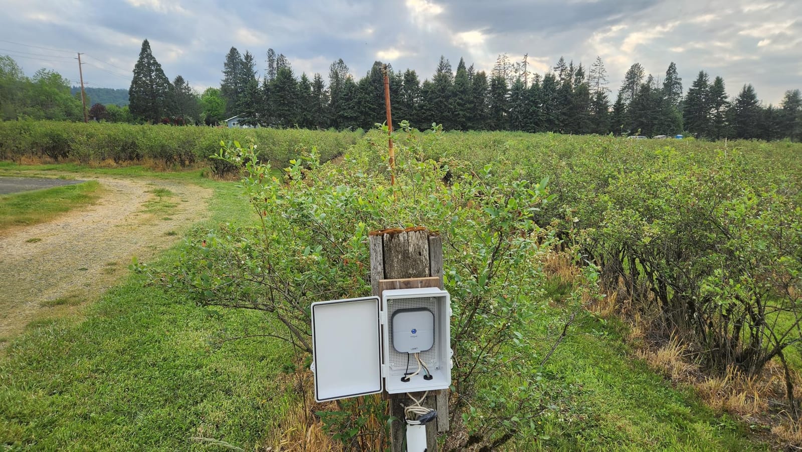 Orbit B-hyve Indoor Smart Sprinkler Controller - 8-Zone - WiFi Irrigation Controller - App Controlled Irrigation with Weather Adjustment - Easy Installation Smart Home Ready Device - 57925 customer photo 2