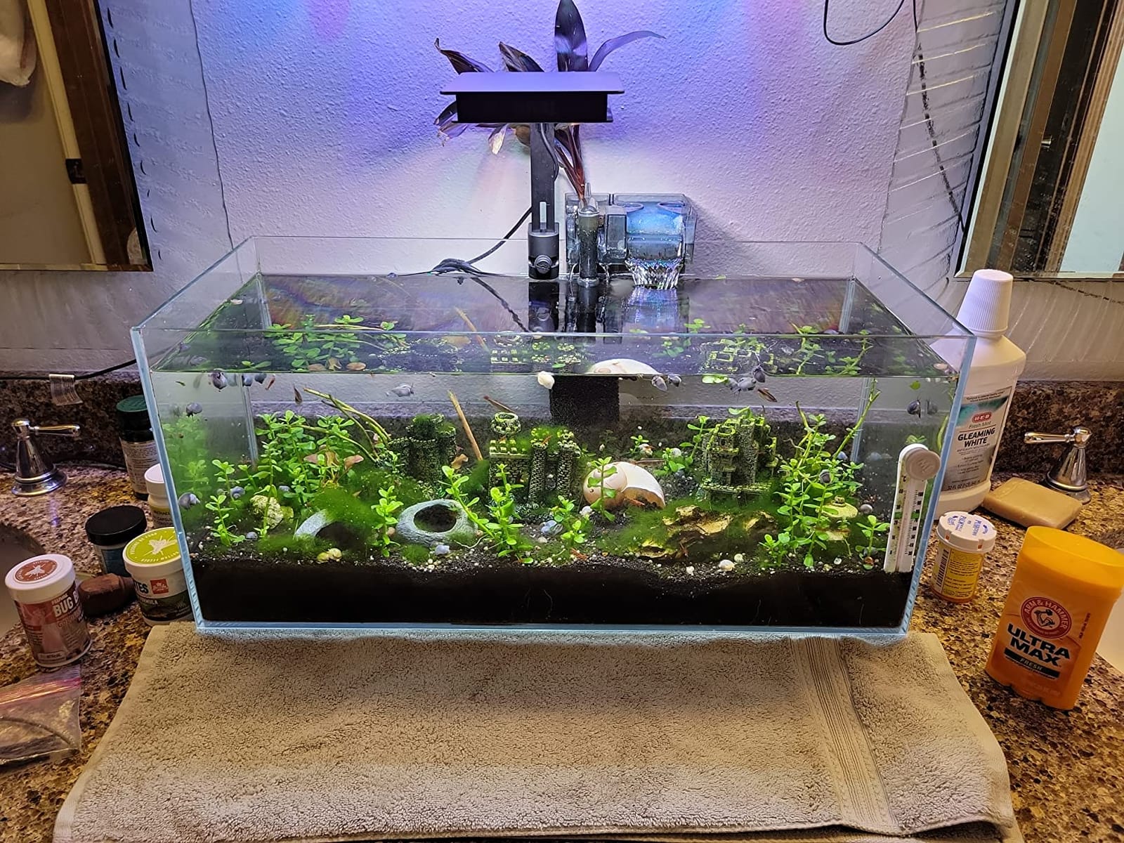 Fluval SEA Marine Nano LED Aquarium Lighting with Bluetooth, 20 Watts, Glass customer photo 1