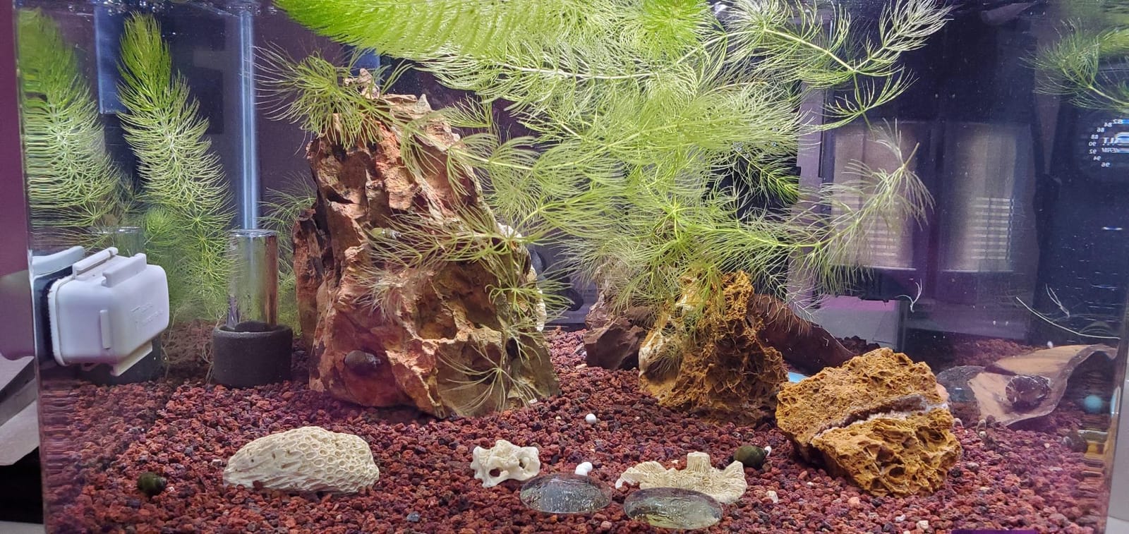 Fluval SEA Marine Nano LED Aquarium Lighting with Bluetooth, 20 Watts, Glass customer photo 2