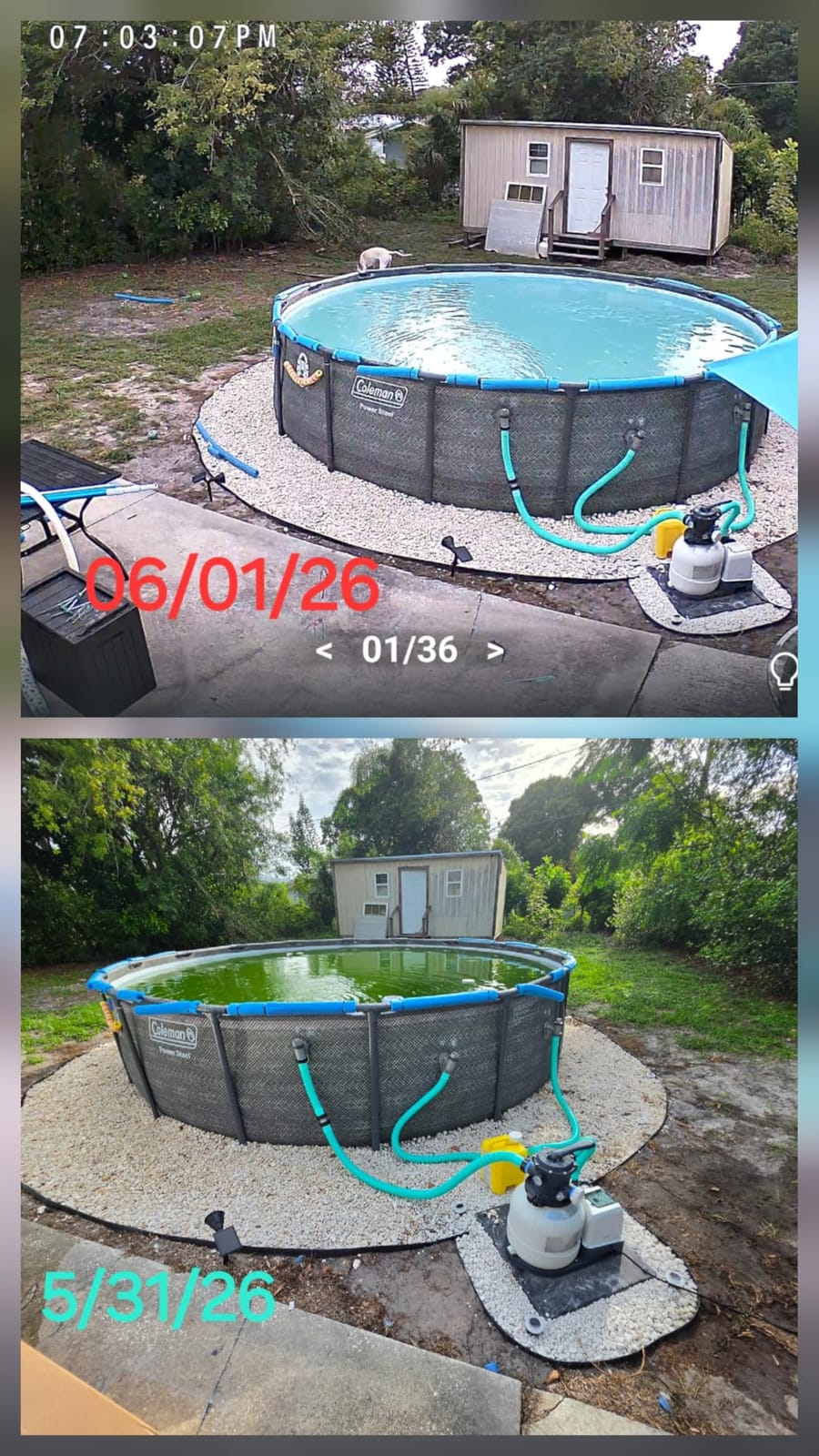 INTEX 2,100 GPH Krystal Clear Sand Filter Pump for Above Ground Pools, Swimming Pool Pump with Automatic Timer customer photo 2