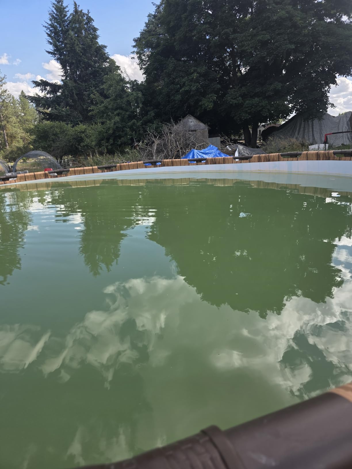 INTEX 2,800 GPH Krystal Clear Sand Filter Pump for Above Ground Pools, Swimming Pool Pump with Automatic Timer - Improved Circulation, Filtration, & Clarity customer photo 1