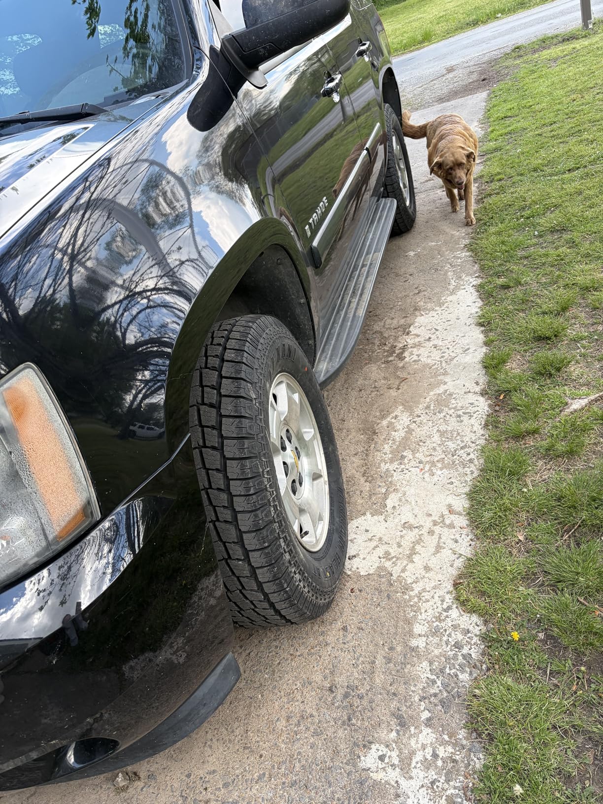 Lexani Terrain Beast AT LT265/70R17 121/118S E | Light Truck All Terrain All Weather Traction E (10 Ply) Radial Tire customer photo 1