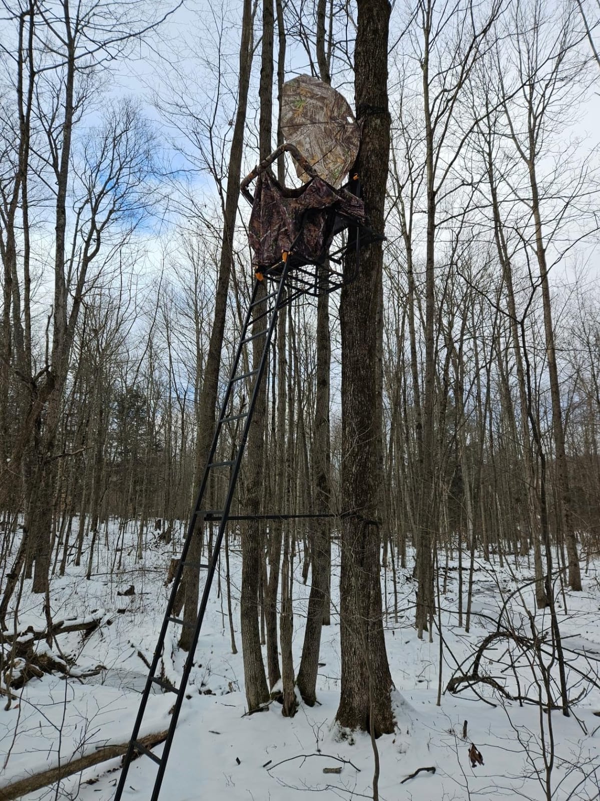 Muddy 1-Person Huntsman Deluxe Steel Ladder Tree Stand, 17 ft Tall | 300 lb Capacity - Hunting Treestand with Lumbar Support Seat, Flip-Back Adjustable Shooting Rail & Silencer Technology customer photo 1