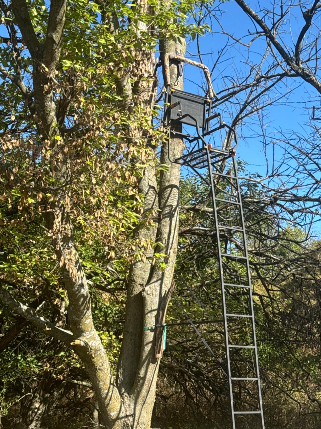Muddy 1-Person Huntsman Deluxe Steel Ladder Tree Stand, 17 ft Tall | 300 lb Capacity - Hunting Treestand with Lumbar Support Seat, Flip-Back Adjustable Shooting Rail & Silencer Technology customer photo 2