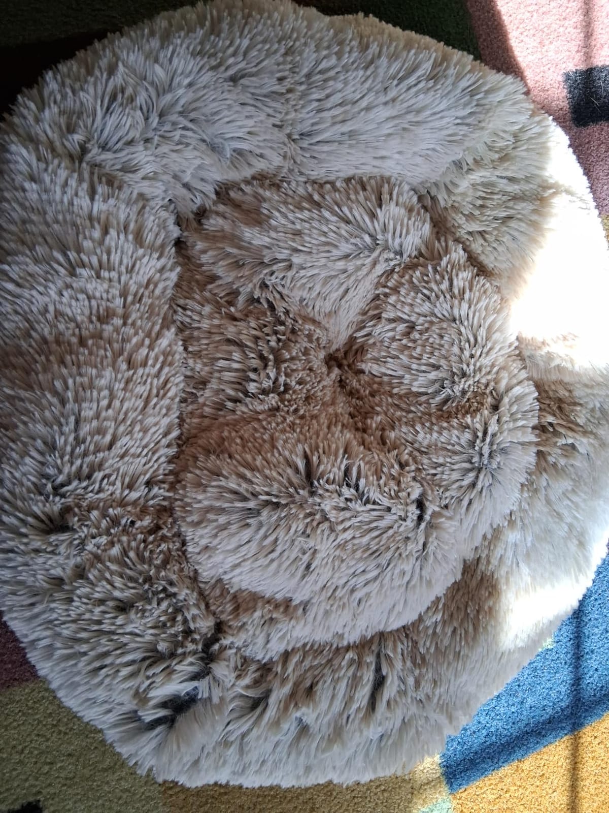Best Friends by Sheri Original Calming Donut Dog Bed, Oyster, Small, 23