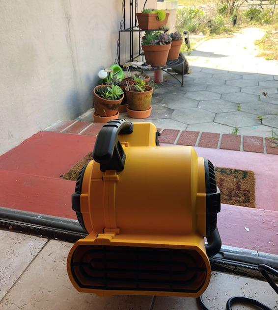 DEWALT Portable Air Mover, 276W 3 Speed Floor Fan, Utility Blower Fan | 1/5 HP 600 CFM Floor Dryer, 11 lbs Carpet Dryer, Floor Fan, for Janitorial, Home, Commercial Use, DXAM-2260 customer photo 1