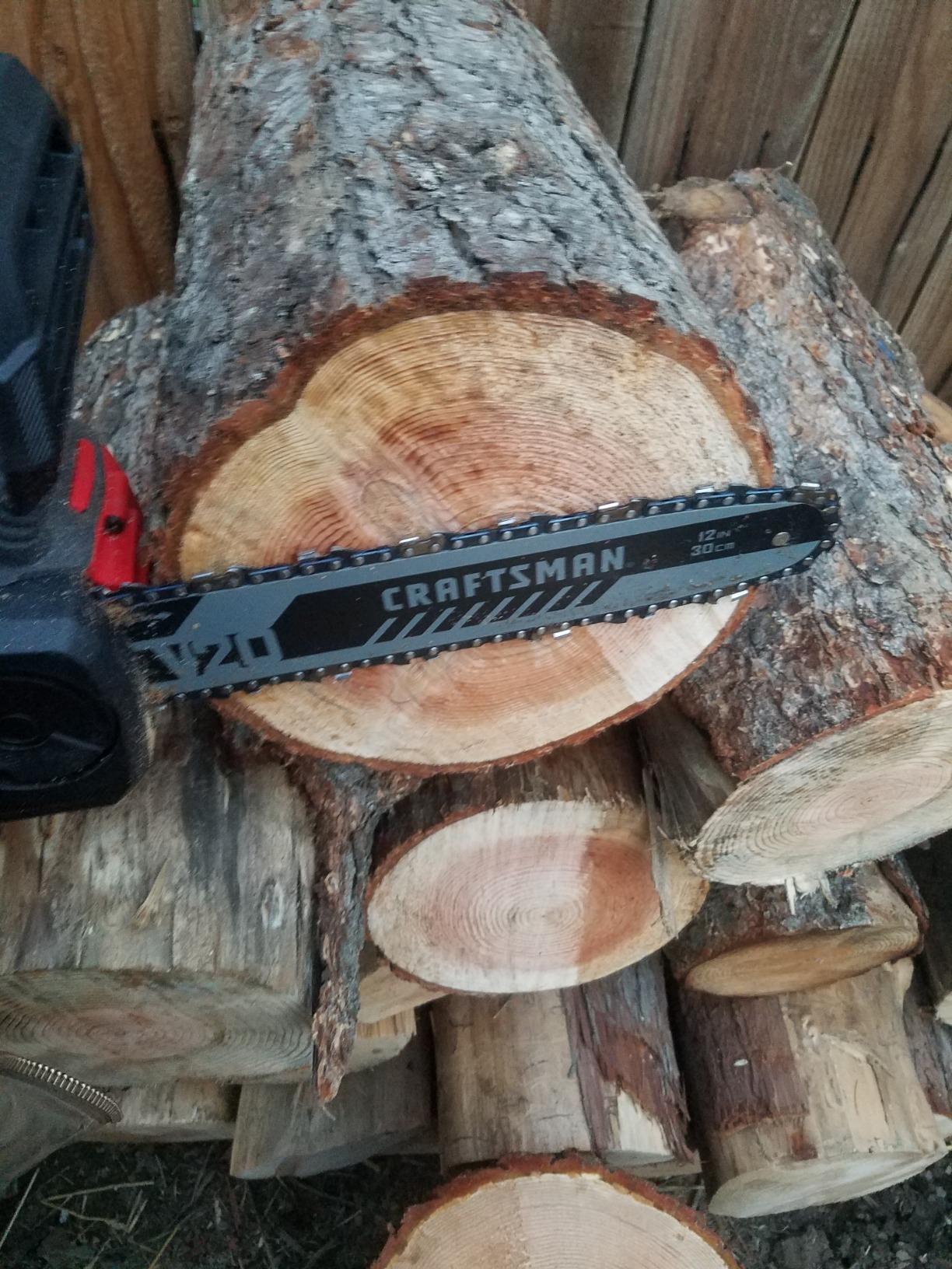 CRAFTSMAN V20 Cordless Chainsaw, 12-Inch Electric Chainsaw, Battery and Charger Included (CMCCS620M1) customer photo 2