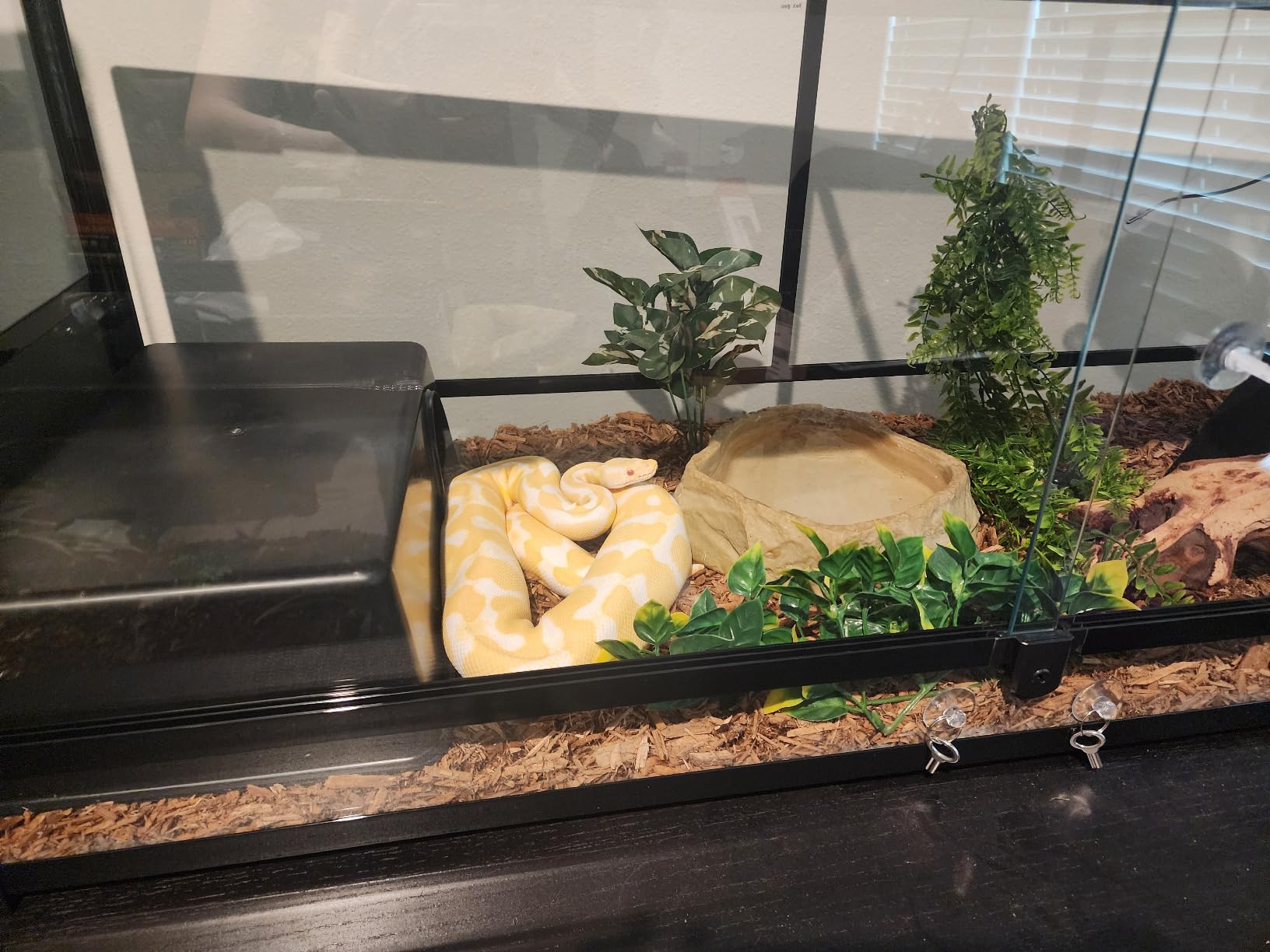 REPTI ZOO 67Gallon Reptile Large Terrarium Upgrade Glass Front Opening Tank Sliding Door with Screen Ventilation Reptile Terrarium About 48