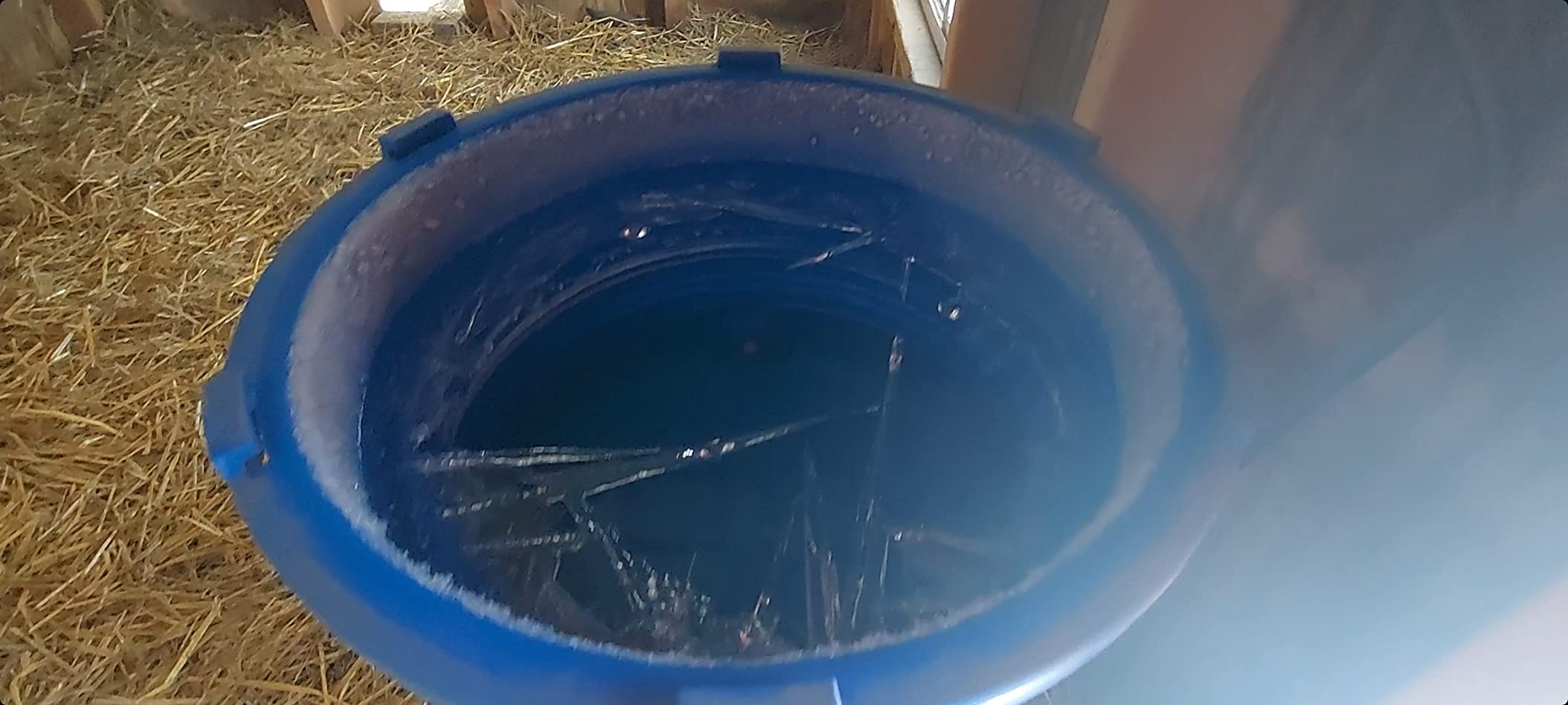 Premier 1 All-Season Heated Poultry Waterer for Chickens & Ducks - 3 Gallon | 100W thermostat keeps water unfrozen to -20°F customer photo 2