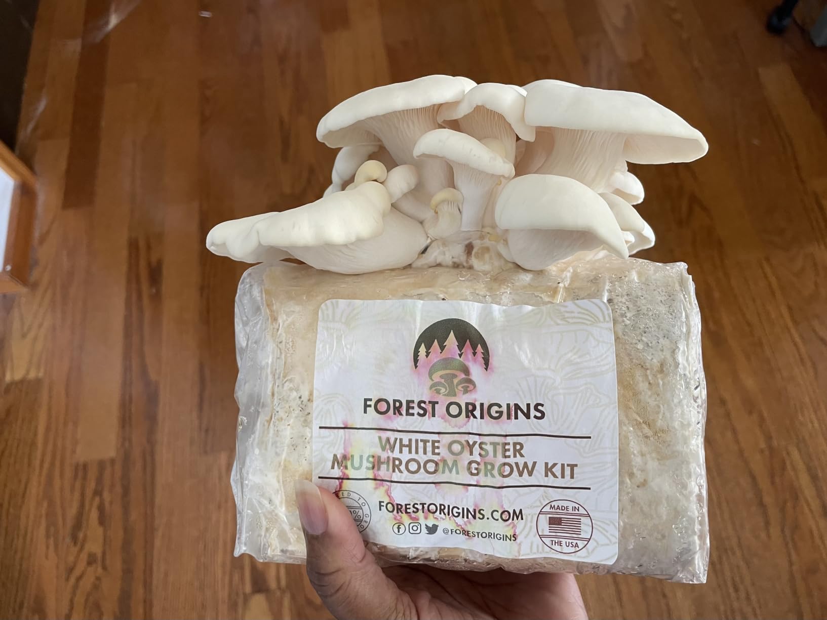 Forest Origins Specialty Trio Oyster Mushroom Kits, Pink Brown White 3-Pack | Beginner-friendly, Harvest in About 10 Days customer photo 1