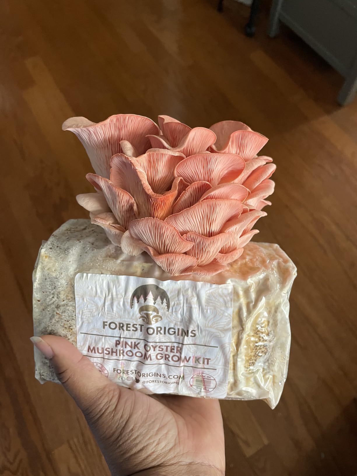 Forest Origins Specialty Trio Oyster Mushroom Kits, Pink Brown White 3-Pack | Beginner-friendly, Harvest in About 10 Days customer photo 2