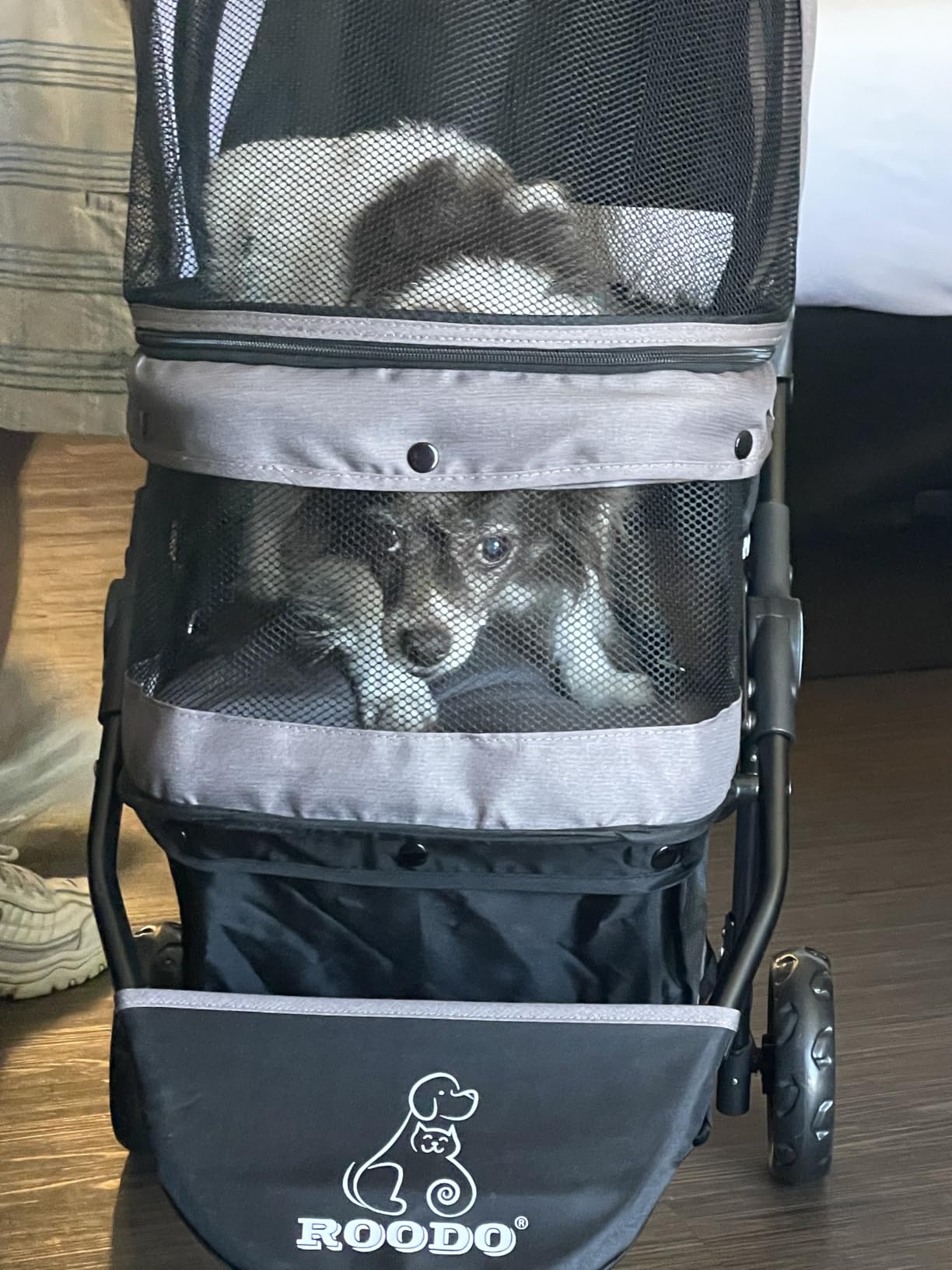 ROODO Escort 3 Wheel Dog Cat Pet Stroller for Small/Medium Dogs Cats Best Lightweight Foldable Portable Compact Jogger All Terrain Travel Pet Gear System Puppy Doggie Bunny Kitty Stroller(Grey) customer photo 1