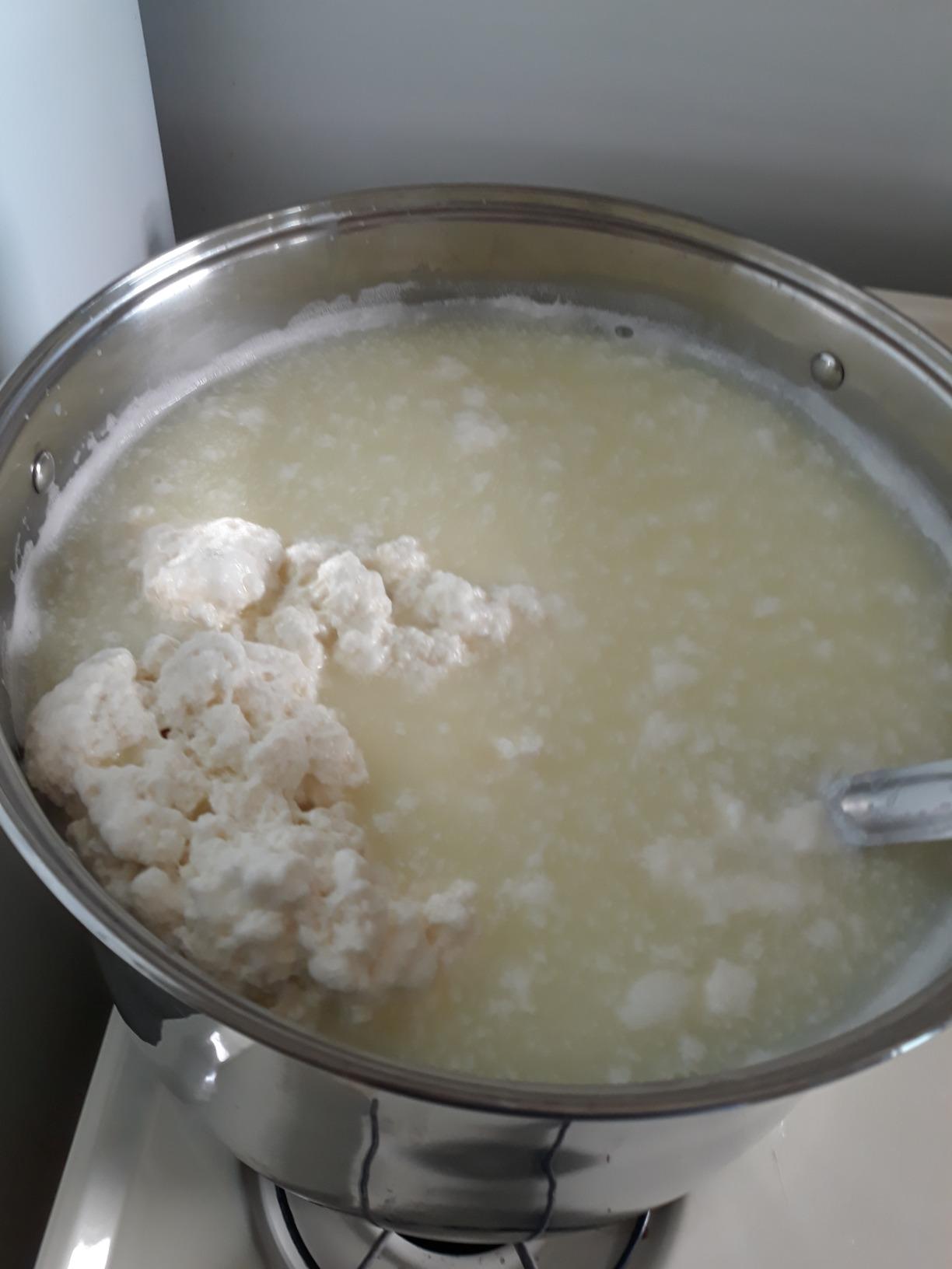 Microbial Rennet For Cheese Making | Vegetarian Rennet Tablets | Milk Coagulant | Vegan Cheese making | Shelf-Stable Rennet Tablets, Perforated For Easy Use customer photo 1