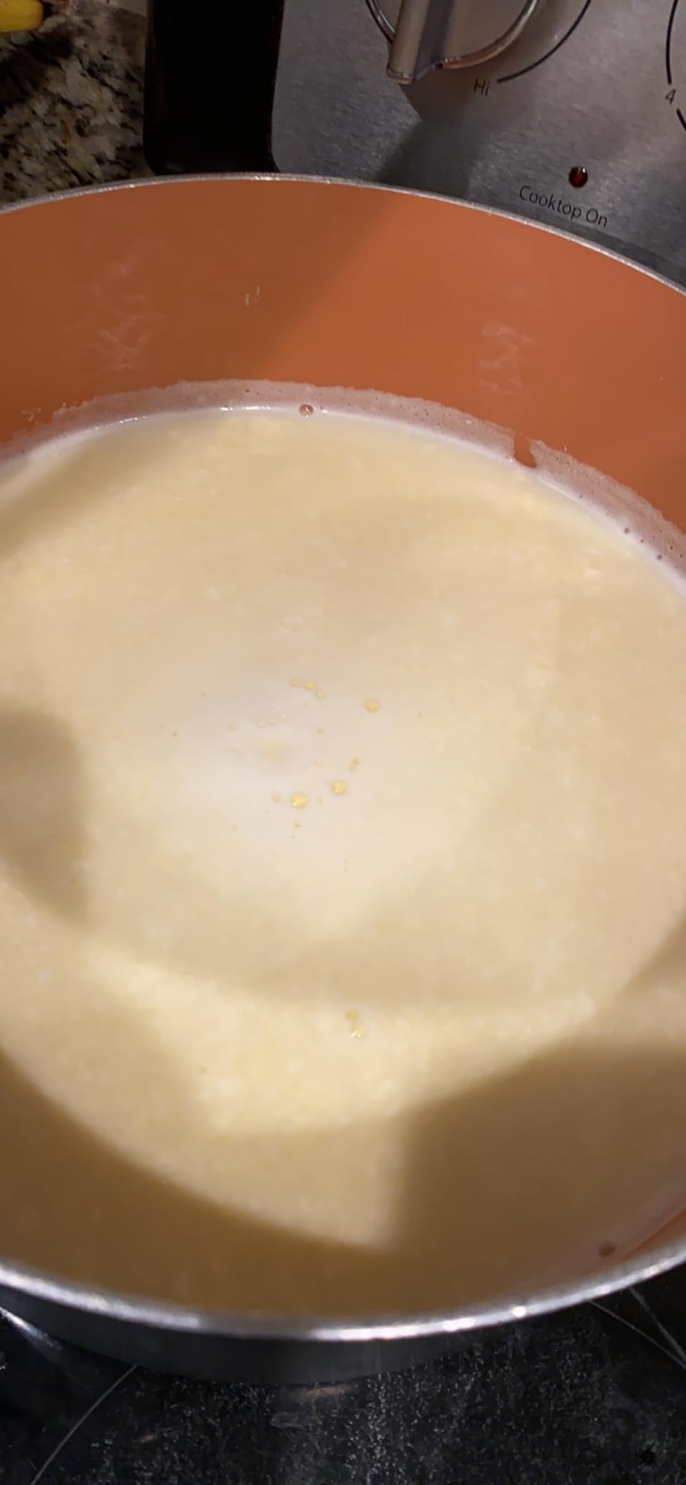 Microbial Rennet For Cheese Making | Vegetarian Rennet Tablets | Milk Coagulant | Vegan Cheese making | Shelf-Stable Rennet Tablets, Perforated For Easy Use customer photo 2