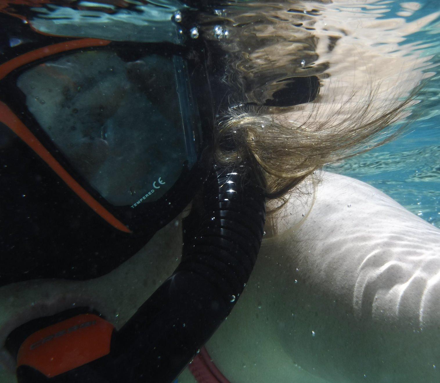 Cressi Panoramic Wide View Mask & Dry Snorkel Kit for Snorkeling, Scuba Diving - Pano 4 & Supernova Dry: Designed in Italy customer photo 1
