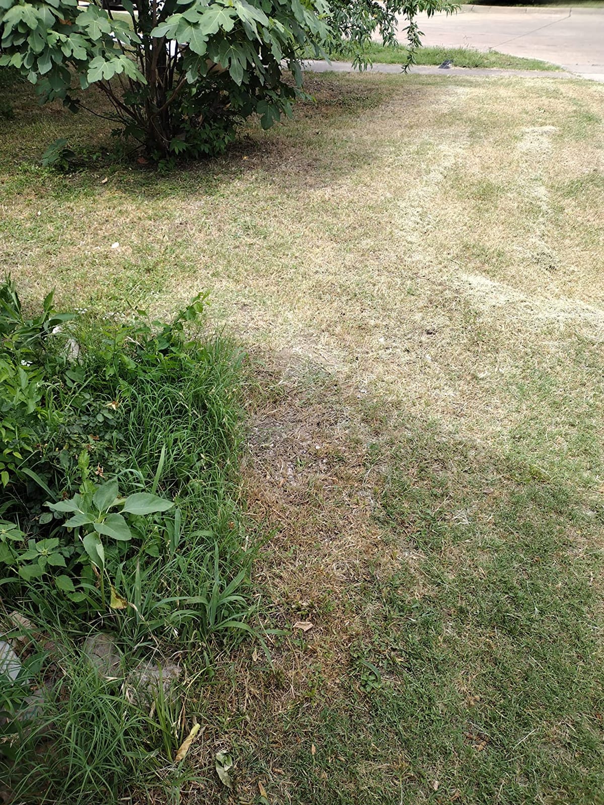 Greenworks 40V 21in Push Lawn Mower, 5.0 Ah Battery and Charger customer photo 1