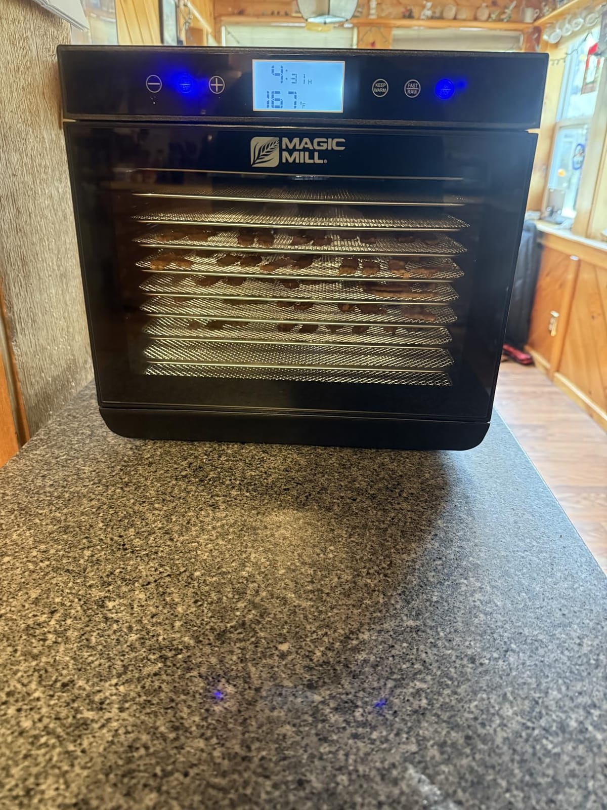 Magic Mill Premium Food Dehydrator Machine (10 Extra-Large Stainless Steel Trays) 700W Dryer for Beef Jerky, Fruits, Vegetables, Dog Treats, 48 Hour Digital Timer - 95°-167° Temperature Control customer photo 1