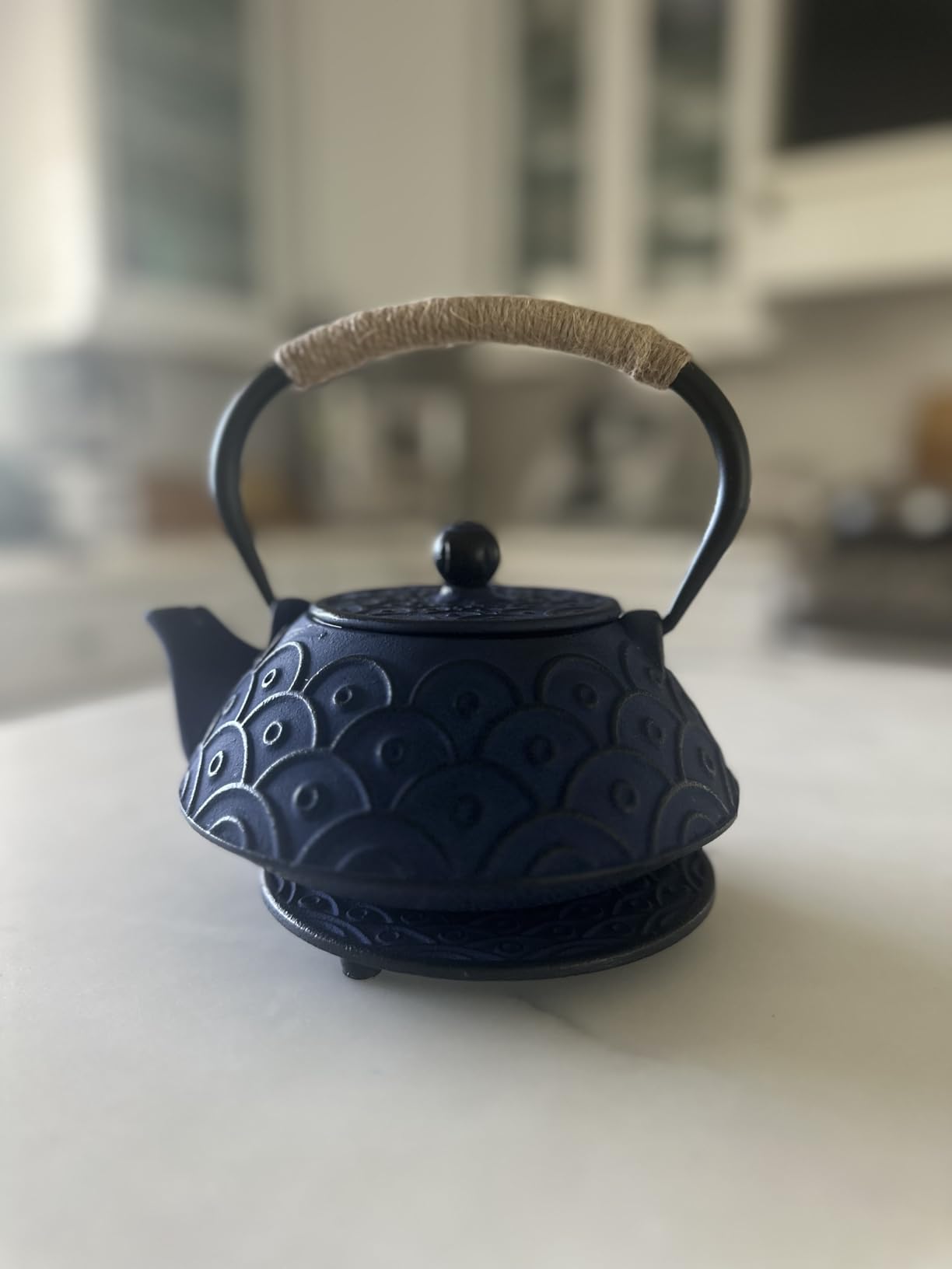 Japanese Style Cast Iron Teapot Set Tetsubin Kettle with Infuser | Tetsubin Kettle with Trivet 4 Tea Cups Hemp Rope Asian Gift for Adults Parents (Fish Scale Pattern, Blue, Anti Rust) customer photo 1