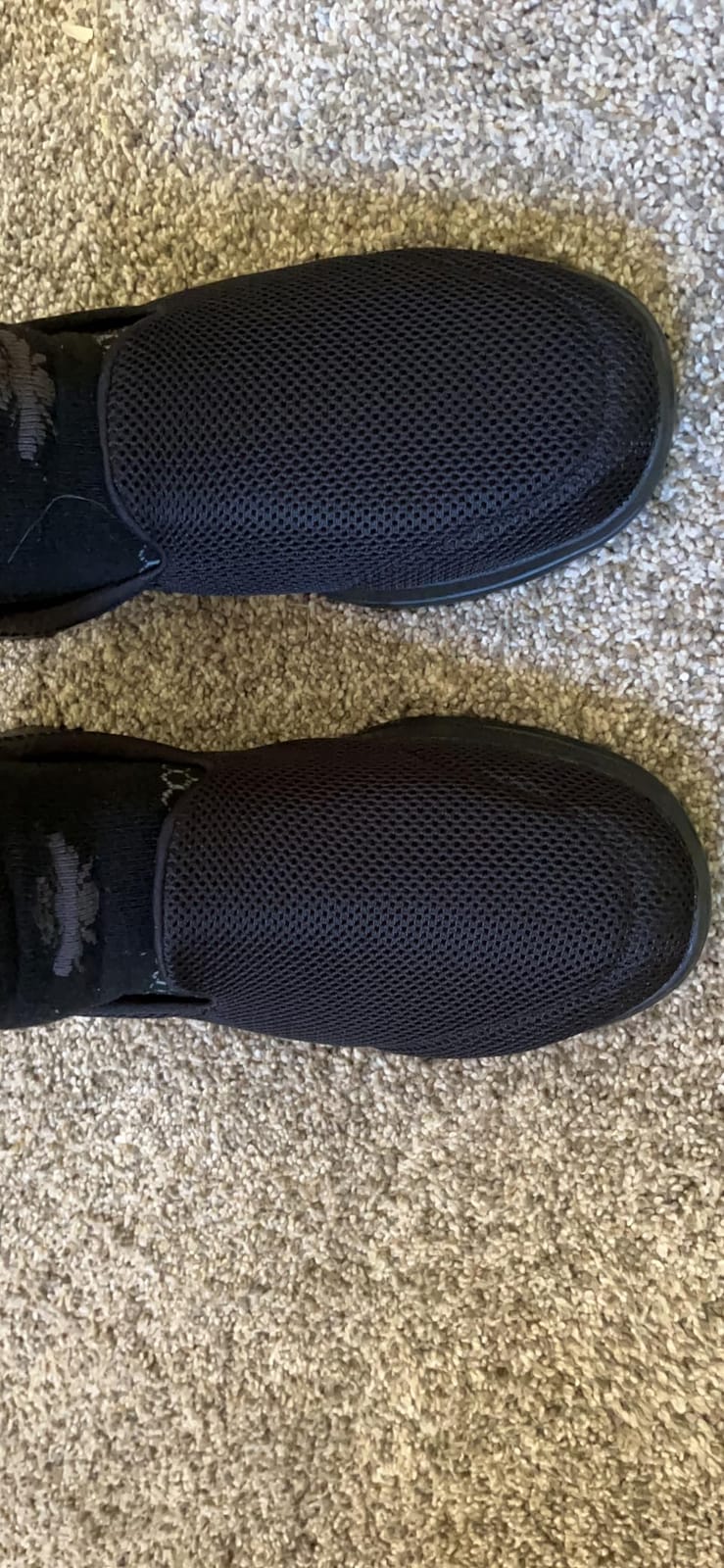 Skechers Women's Go Walk 5 Sneaker customer photo 2