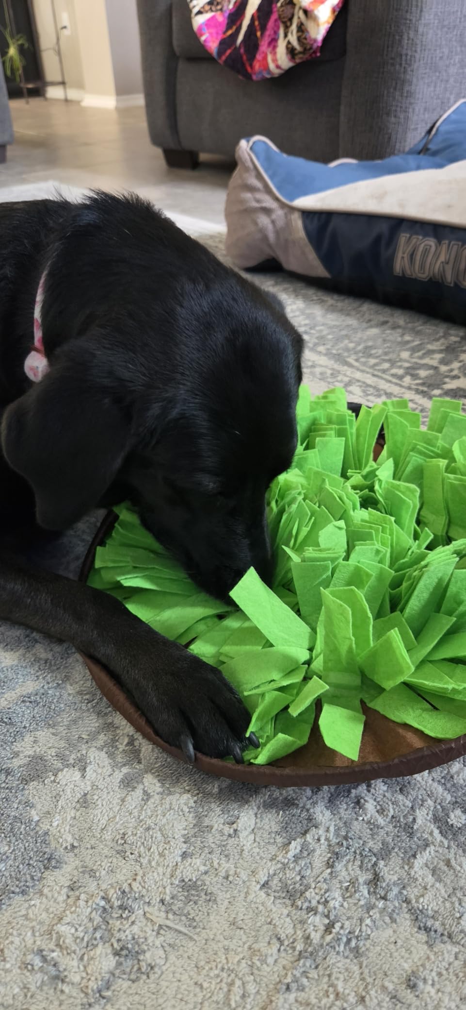 AWOOF Pet Snuffle Mat for Dogs, Interactive Feed Game for Boredom, Encourages Natural Foraging Skills for Cats Dogs Bowl Travel Use, Dog Treat Dispenser Indoor Outdoor Stress Relief customer photo 1