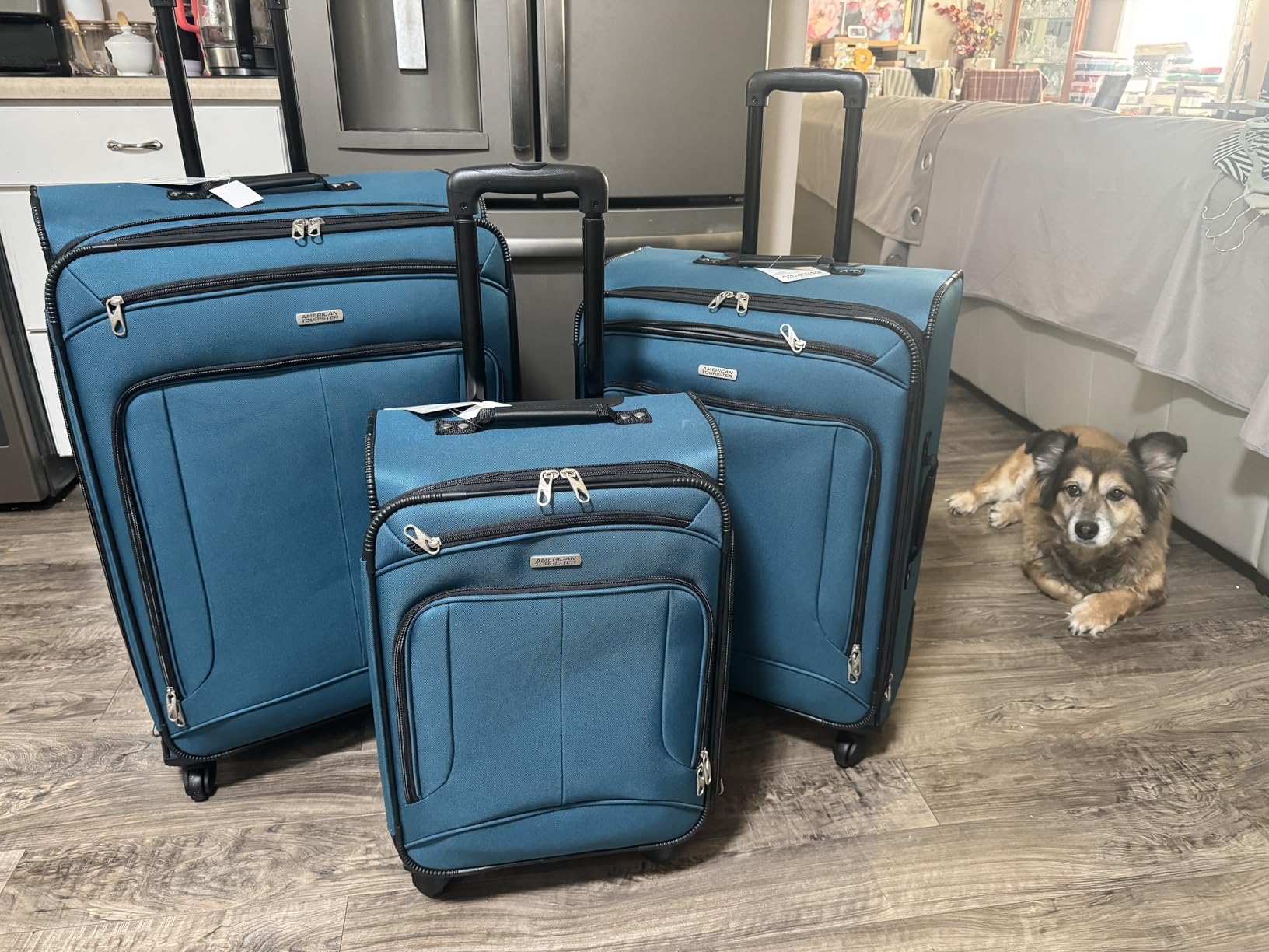 American Tourister Pop Max Softside Luggage with Spinner Wheels, Teal, 3-Piece Set (21/25/29) customer photo 1
