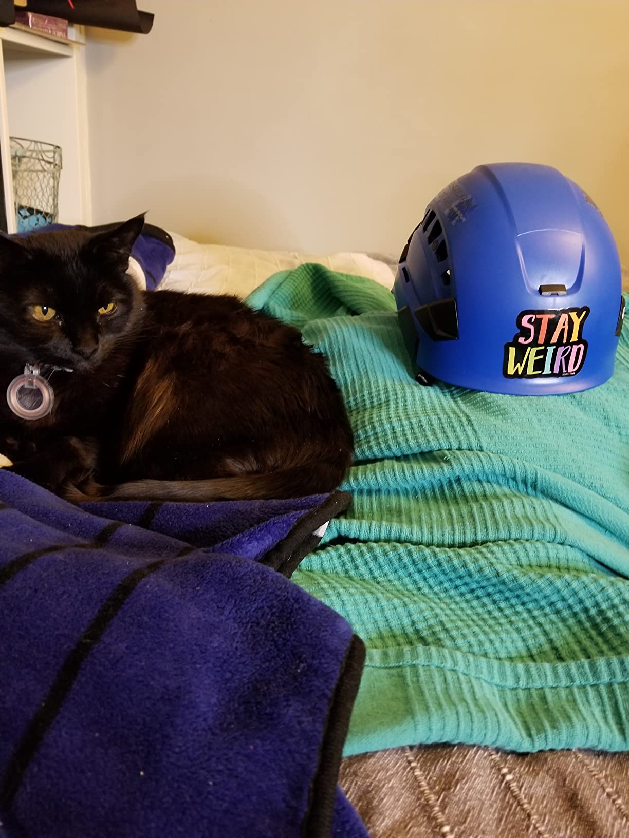 Petzl Vertex Vent Ventilated Safety Helmet (ANSI Z89.1 Type I Class C) customer photo 1