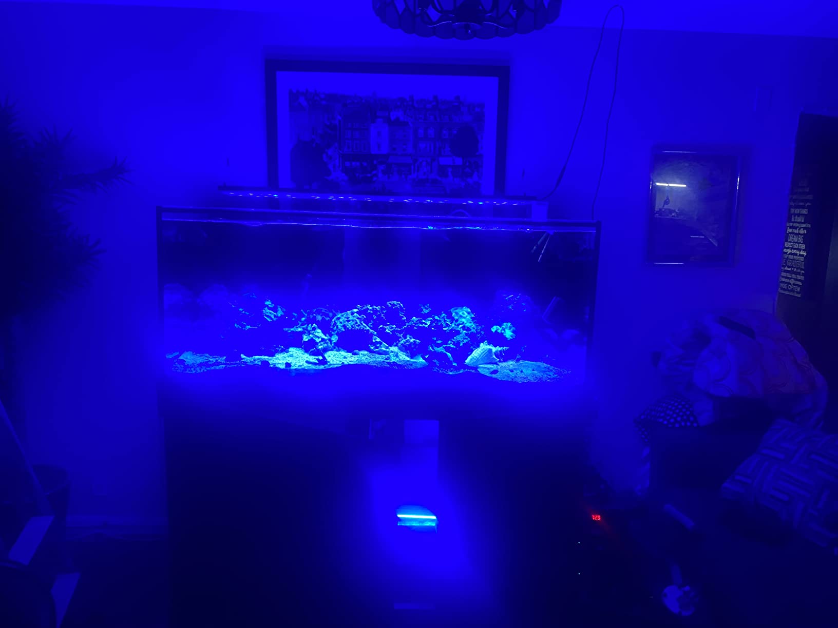 Empire USA - 150 Gallon Starfire Glass Aquarium 60x24x24 Inch, 12mm Eurobraced Fish Tank with Built-in Overflow Box, Rimless Low Iron Glass Aquarium for Freshwater & Saltwater Aquascaping customer photo 1