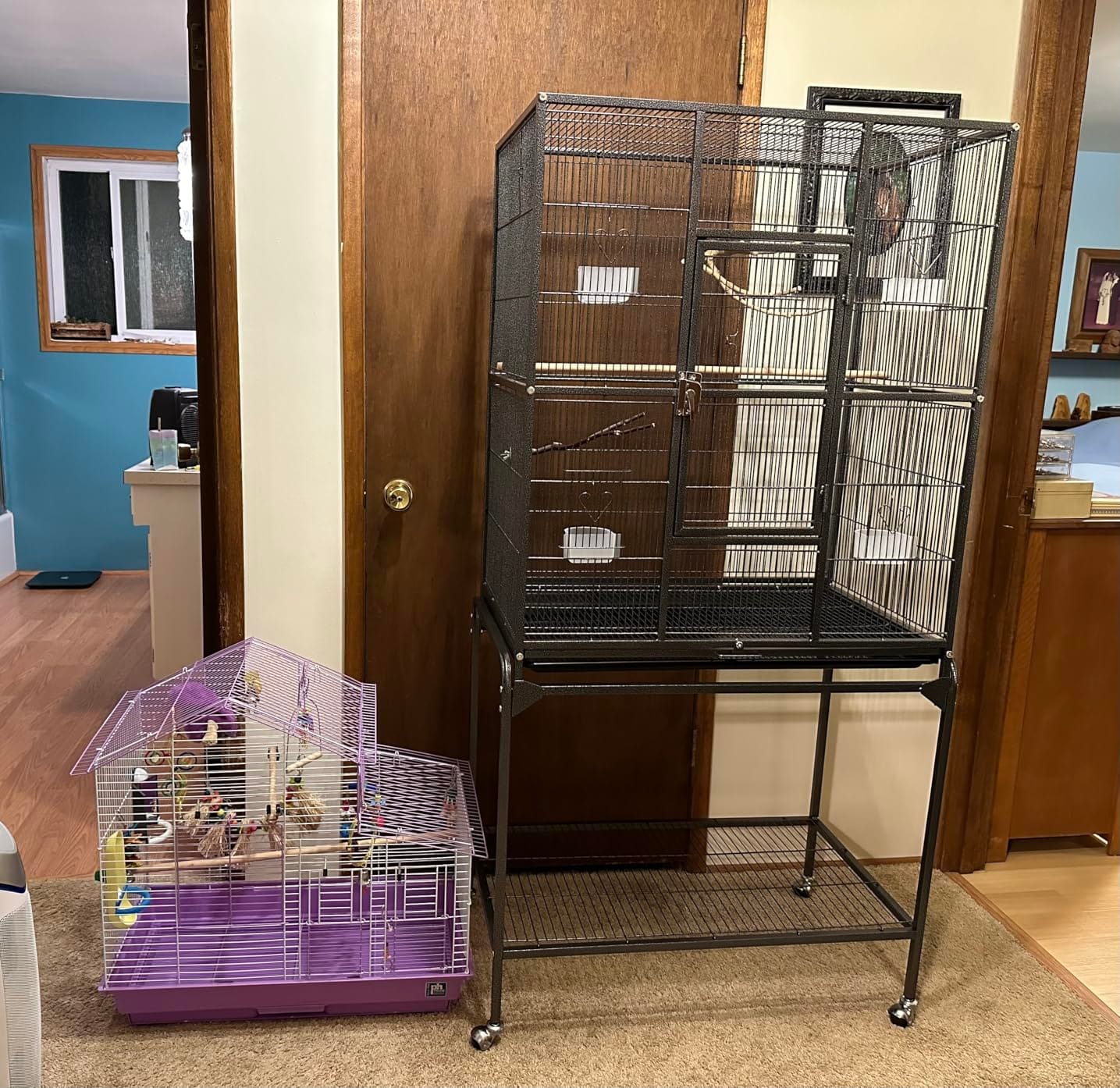 Yaheetech 63-Inch Wrought Iron Rolling Large Bird Cage for African Grey Small Quaker Amazon Parrots Canary Bird Flight Cage customer photo 1