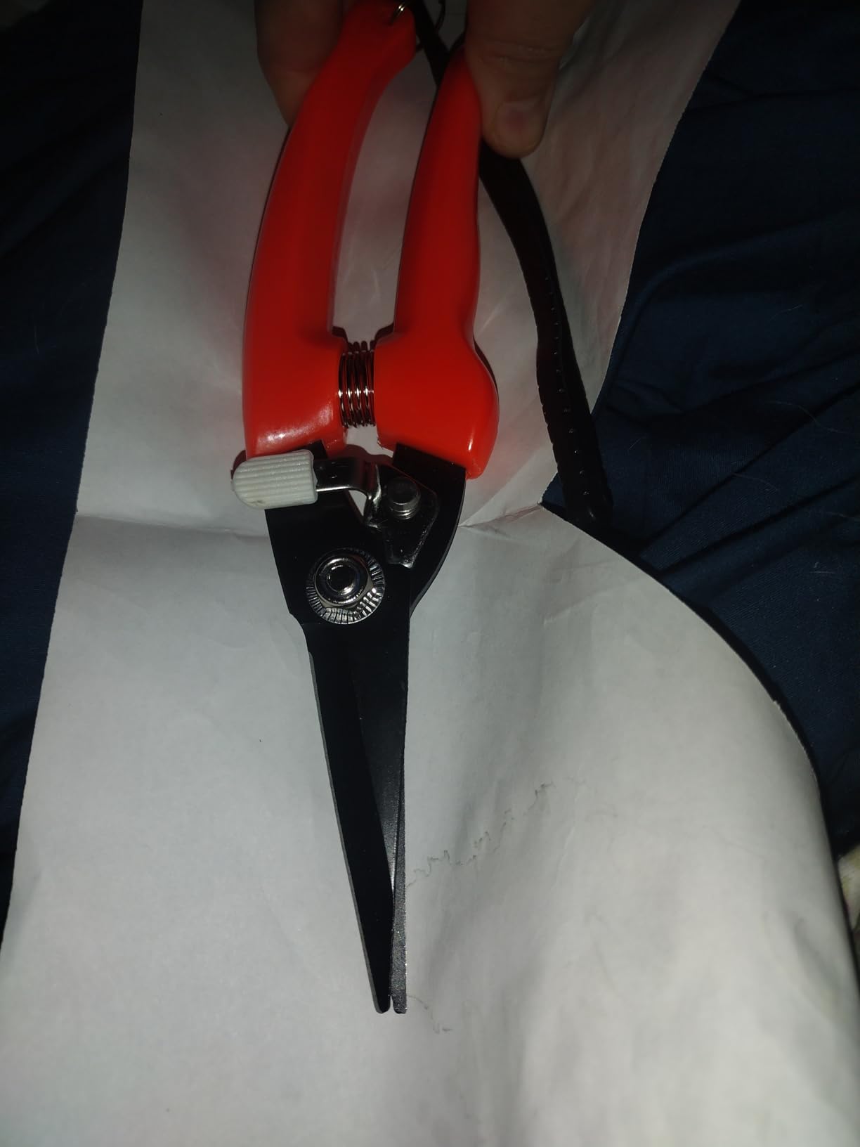 Hoof Trimmers Goat Hoof Trimming Shears Nail Clippers for Sheep, Alpaca, Lamb, Pig Hooves Multiuse Carbon Steel Trimmer customer photo 1
