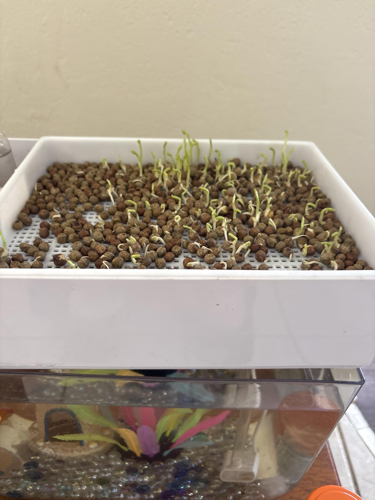 Hydroponic Garden Aquaponic Fish Tank Plants Growing System Self-Cleaning Seed Sprouter Tray customer photo 1