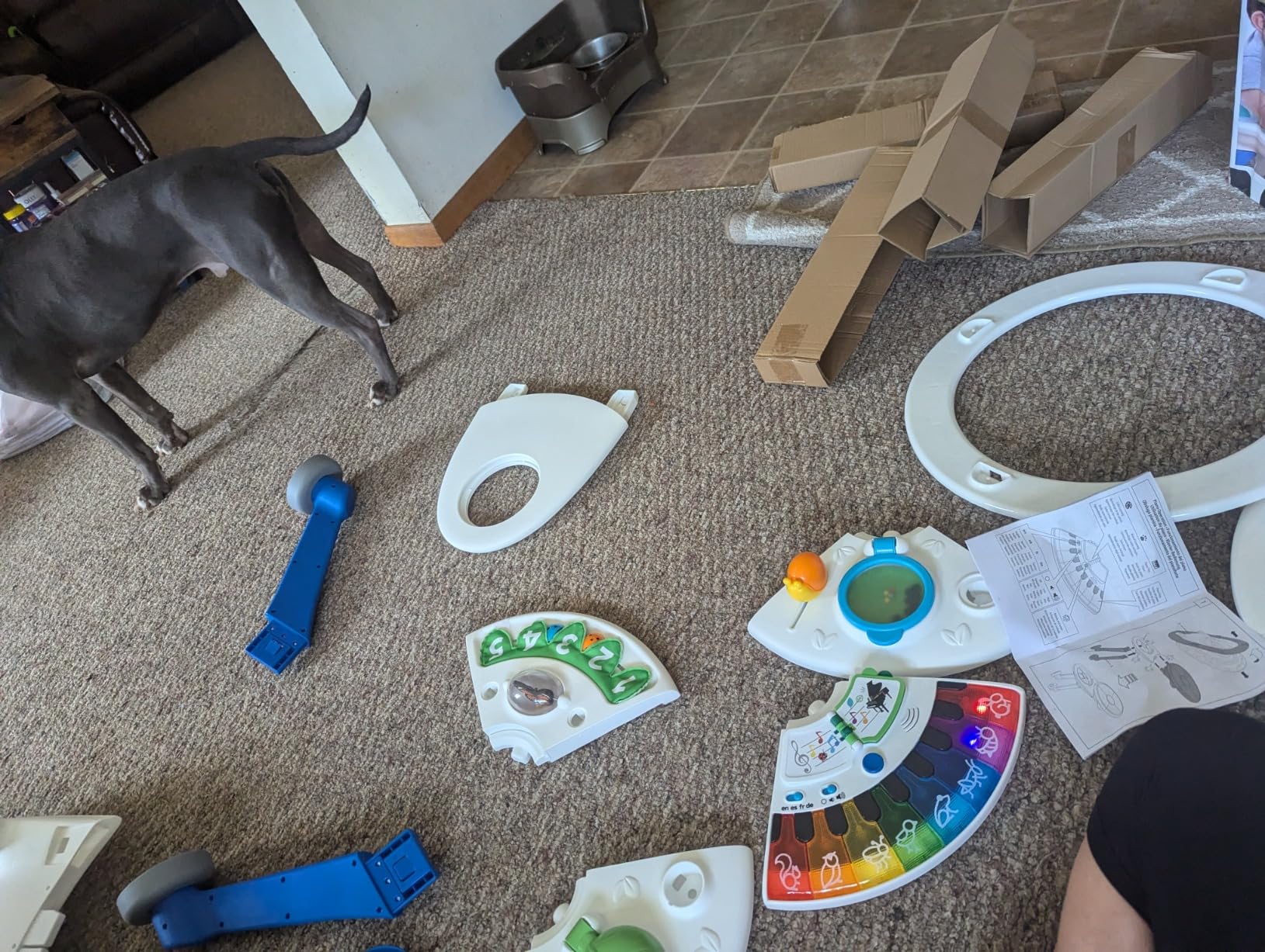 Baby Einstein 4-in-1 Activity Center & Walker with Piano, Age 6M+ | 4 ways to grow: walker, discovery table, art table & floor play customer photo 1