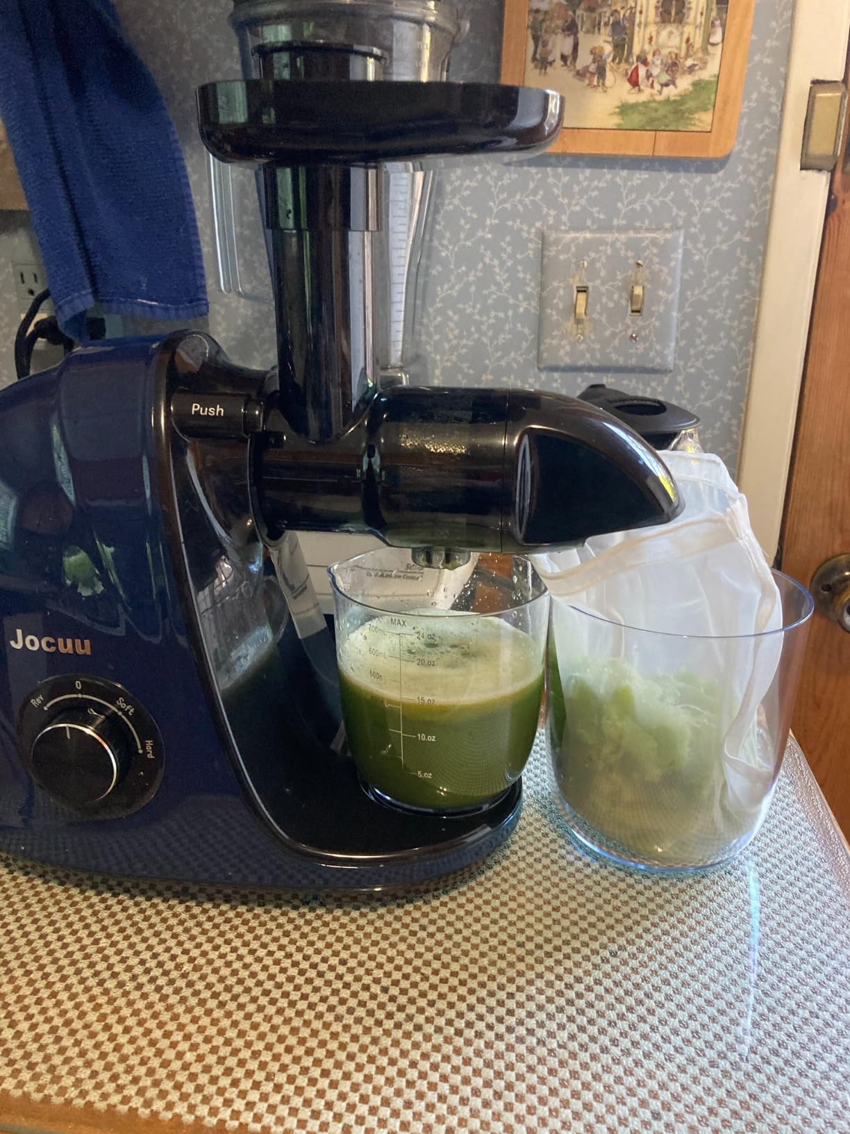 Juicer, Jocuu Slow Masticating Juicer Machines Easy to Clean, Soft/Hard Two Speed Quiet Motor Reverse Function Anti-Clogging, Cold Press Juice Extractor with Brush & Recipes customer photo 1