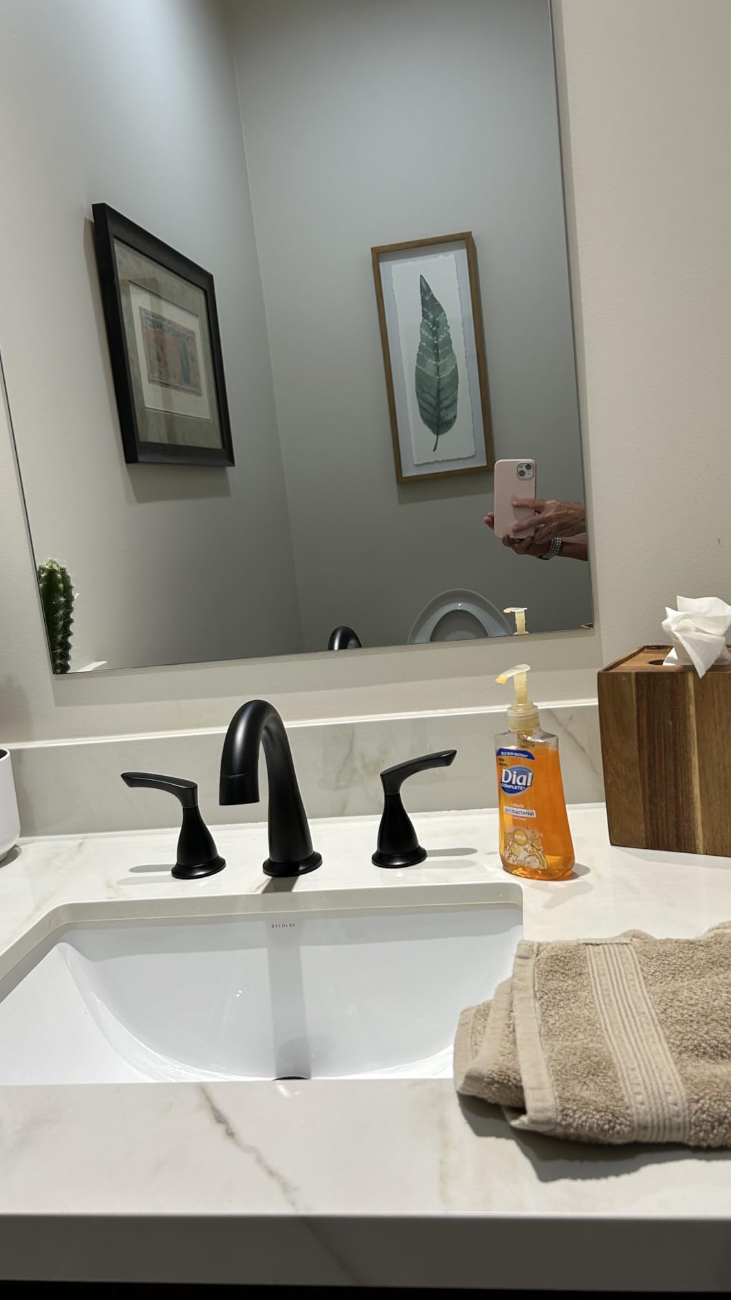 Delta Broadmoor Brushed Nickel Bathroom Faucet with Sprayer, 8 Inch 3 Hole Widespread Bathroom Sink Faucet with Pull Out Sprayer, Push-Pop Drain, SpotShield Stainless 35765LF-SPPD customer photo 1