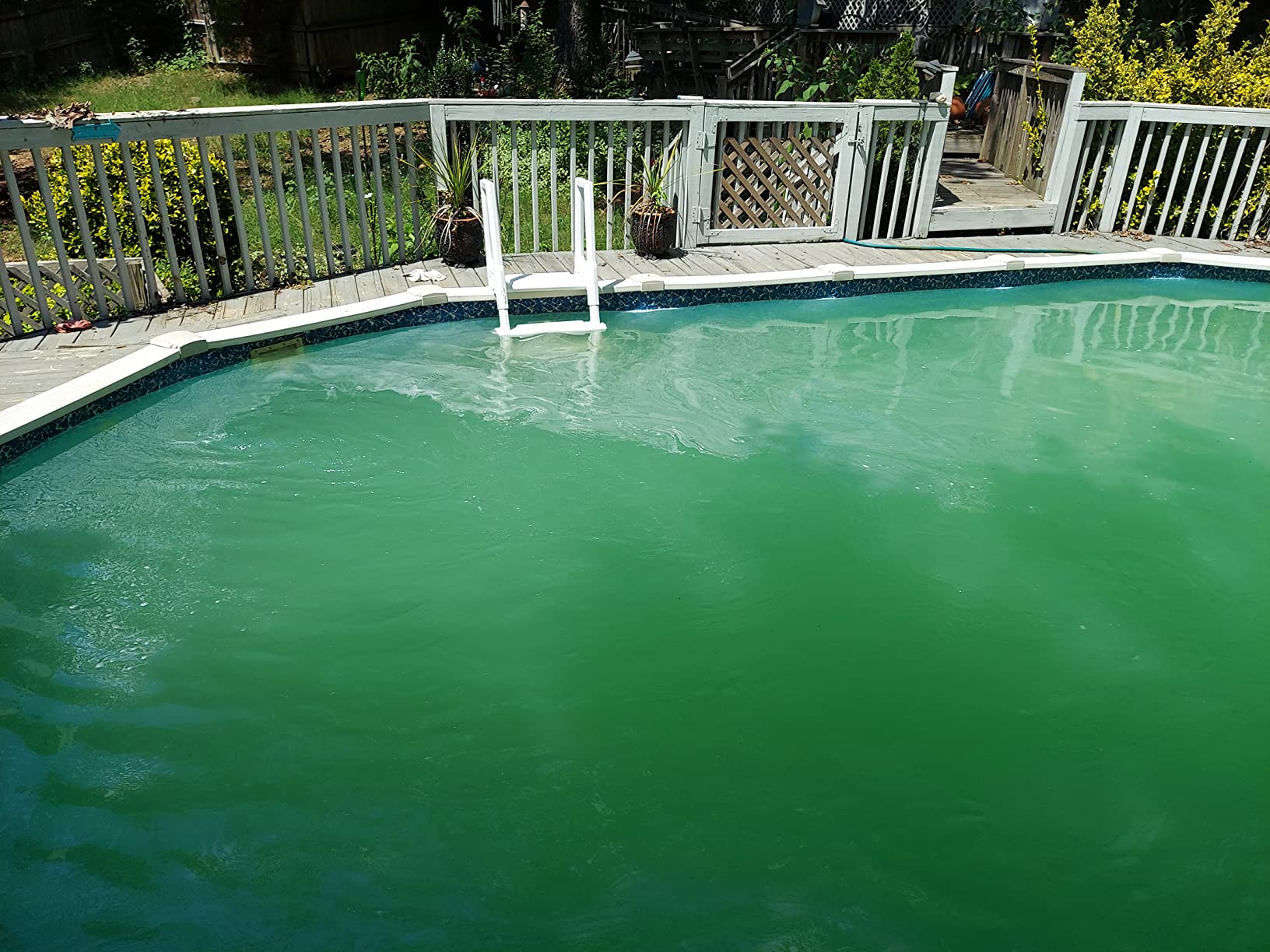 Hayward W3S166T ProSeries Sand Filter 16 in., Top-Mount for Above-Ground Pools customer photo 1