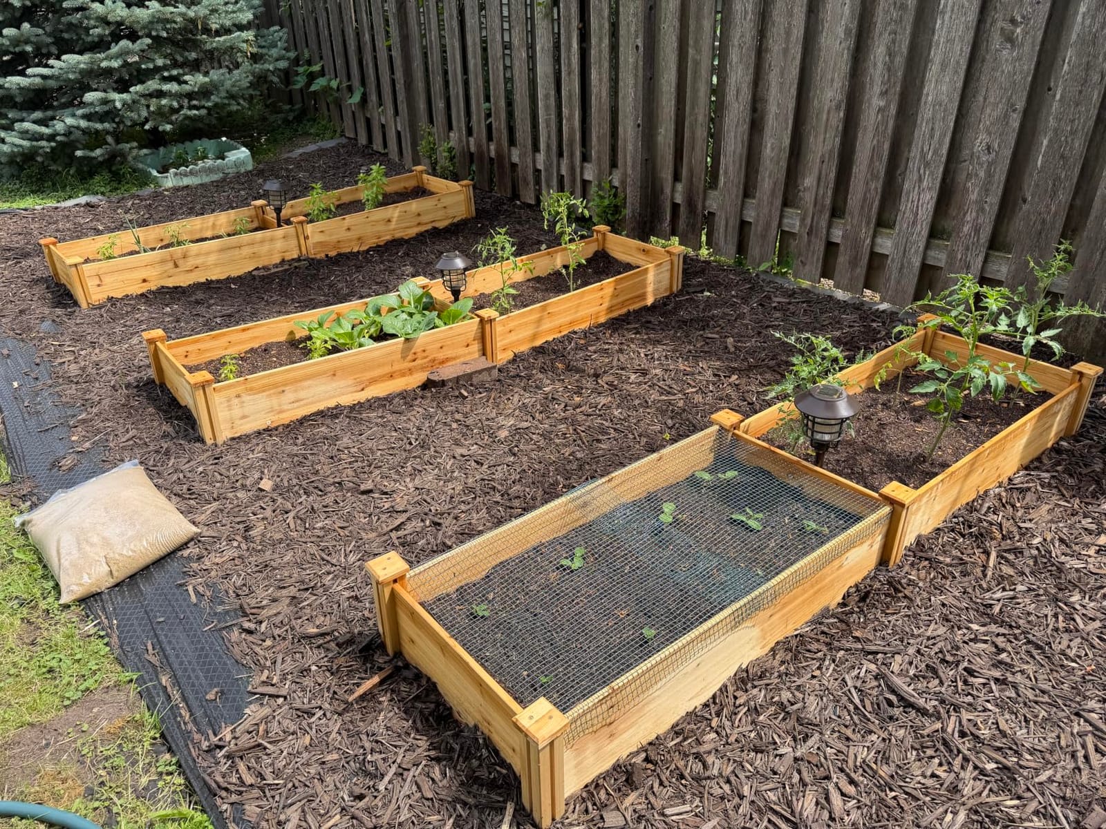 Yaheetech 8x2ft Wooden Horticulture Raised Garden Bed Divisible Elevated Planting Planter Box for Flowers/Vegetables/Herbs in Backyard/Patio Outdoor, Natural Wood, 95 x 25 x 11in customer photo 2