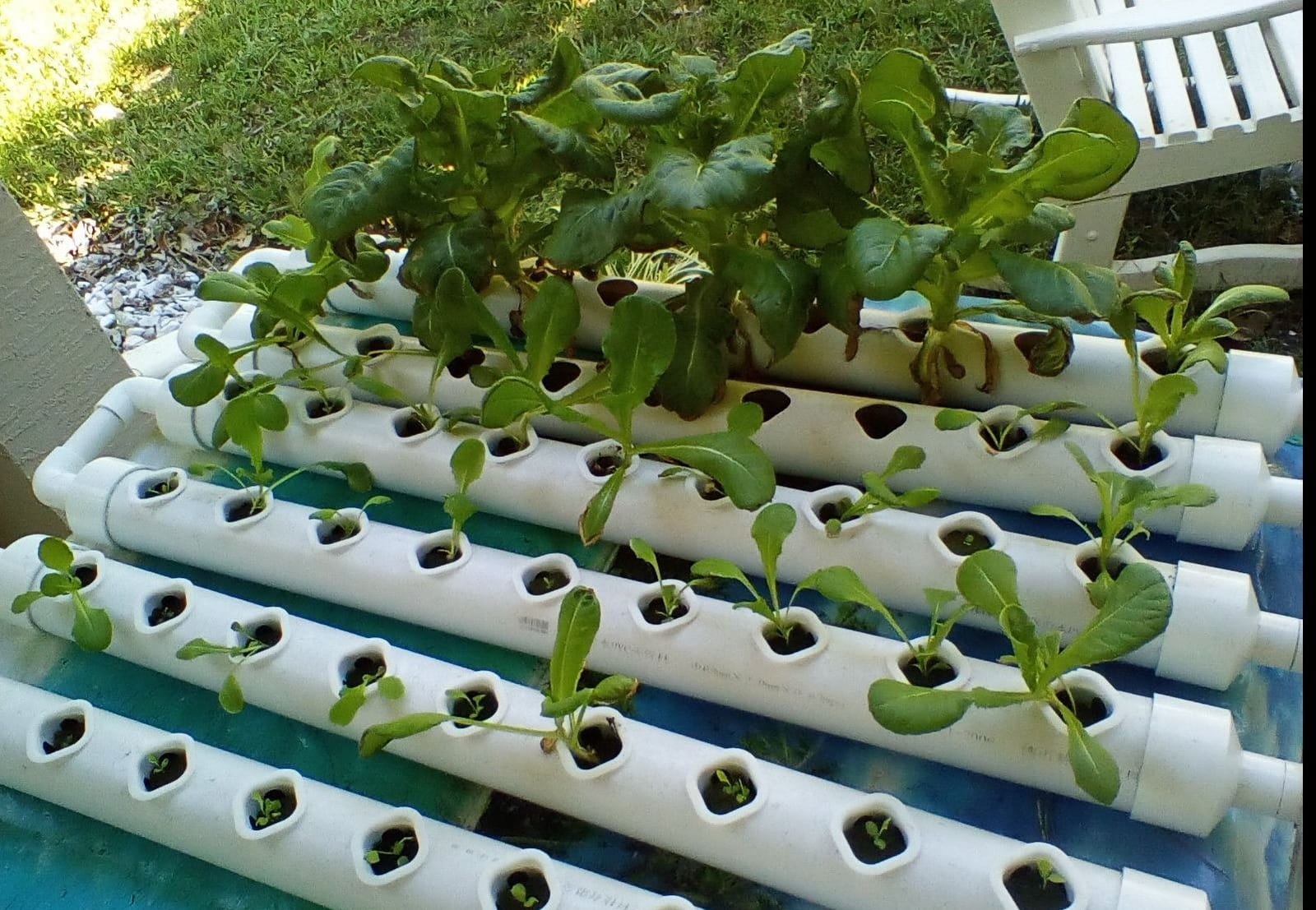 Hydroponic Growing System NFT with Timer Control, PVC Pipe 108 Planting Hole, Garden Water Culture Plant Salad Vegetable with Timer, Square Net Pot, Sponge customer photo 2
