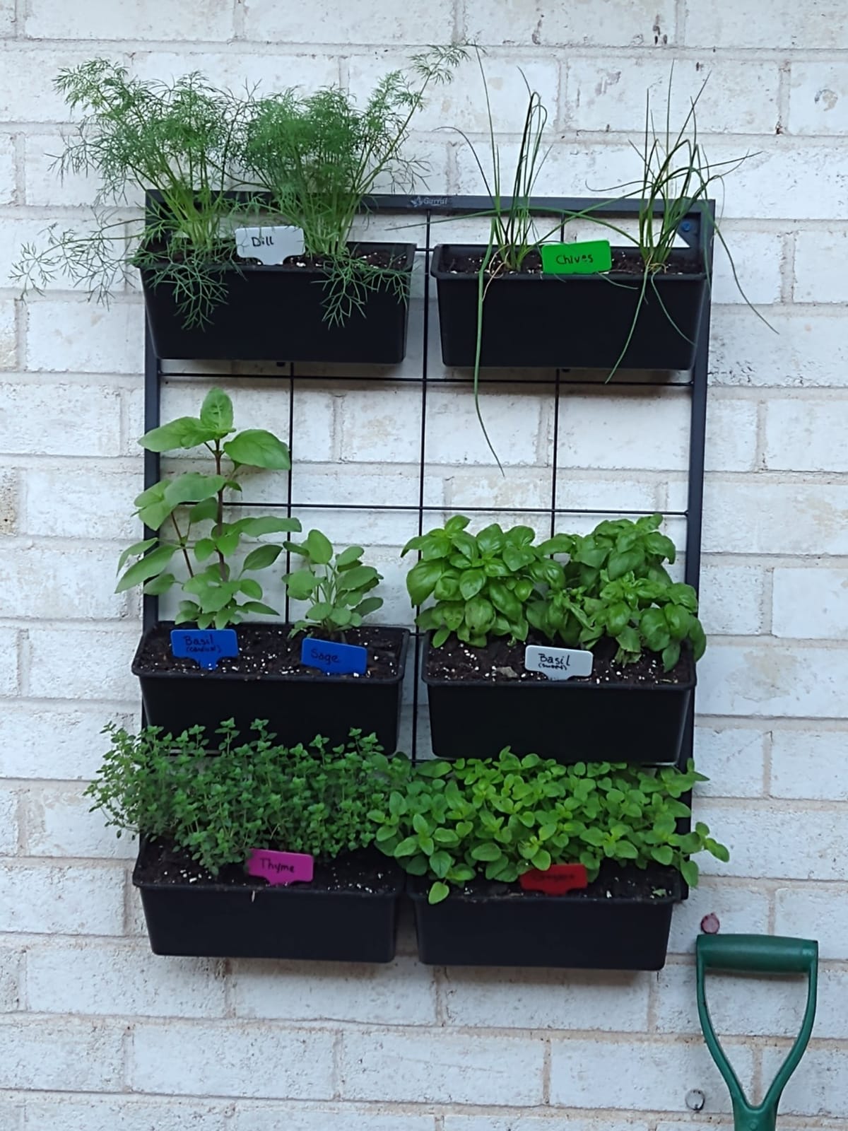 Vertical Wall Planter with 6 Removable Pots for Indoor or Outdoor | Wall mounted planter with metal frame and 6 removable self-draining pots customer photo 1