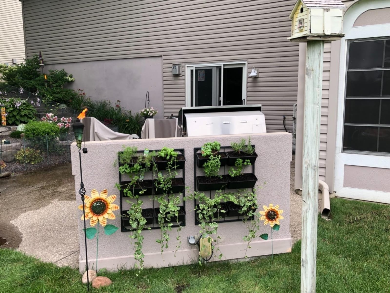 Vertical Wall Planter with 6 Removable Pots for Indoor or Outdoor | Wall mounted planter with metal frame and 6 removable self-draining pots customer photo 2