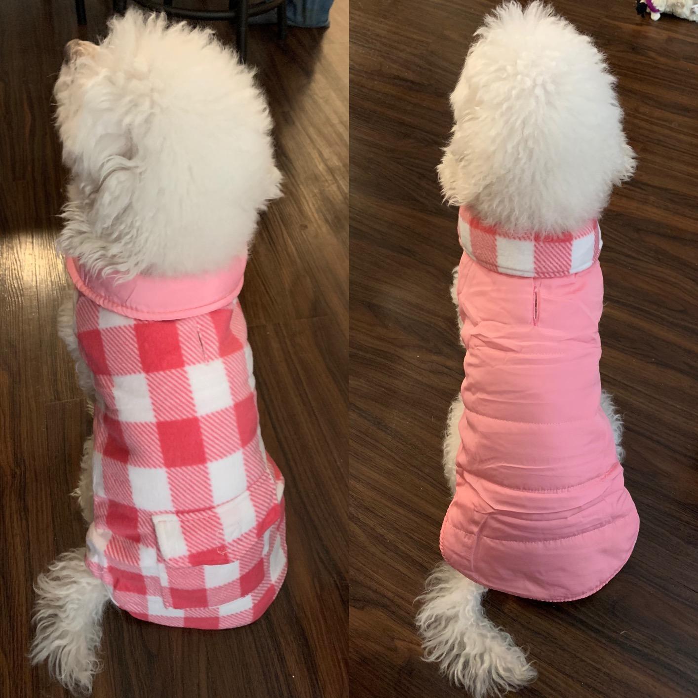 ASENKU Reversible Dog Winter Coat, Dog Jacket for Small Medium Large Dogs | Windproof Plaid Fleece Lining for Cold Weather, Water-resistant Outer Shell, Puppy Puffer Vest with Leash Hole, Blue 2XL customer photo 2