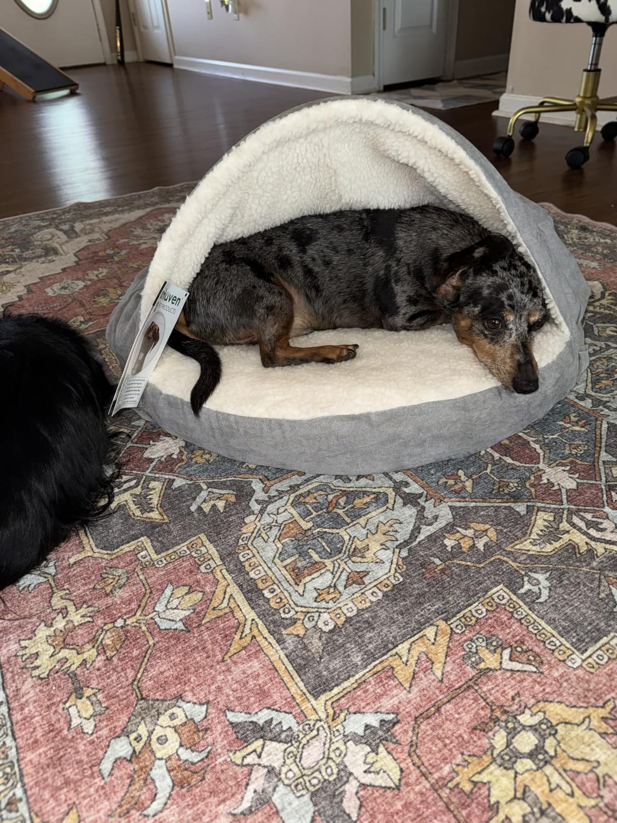 Furhaven 44