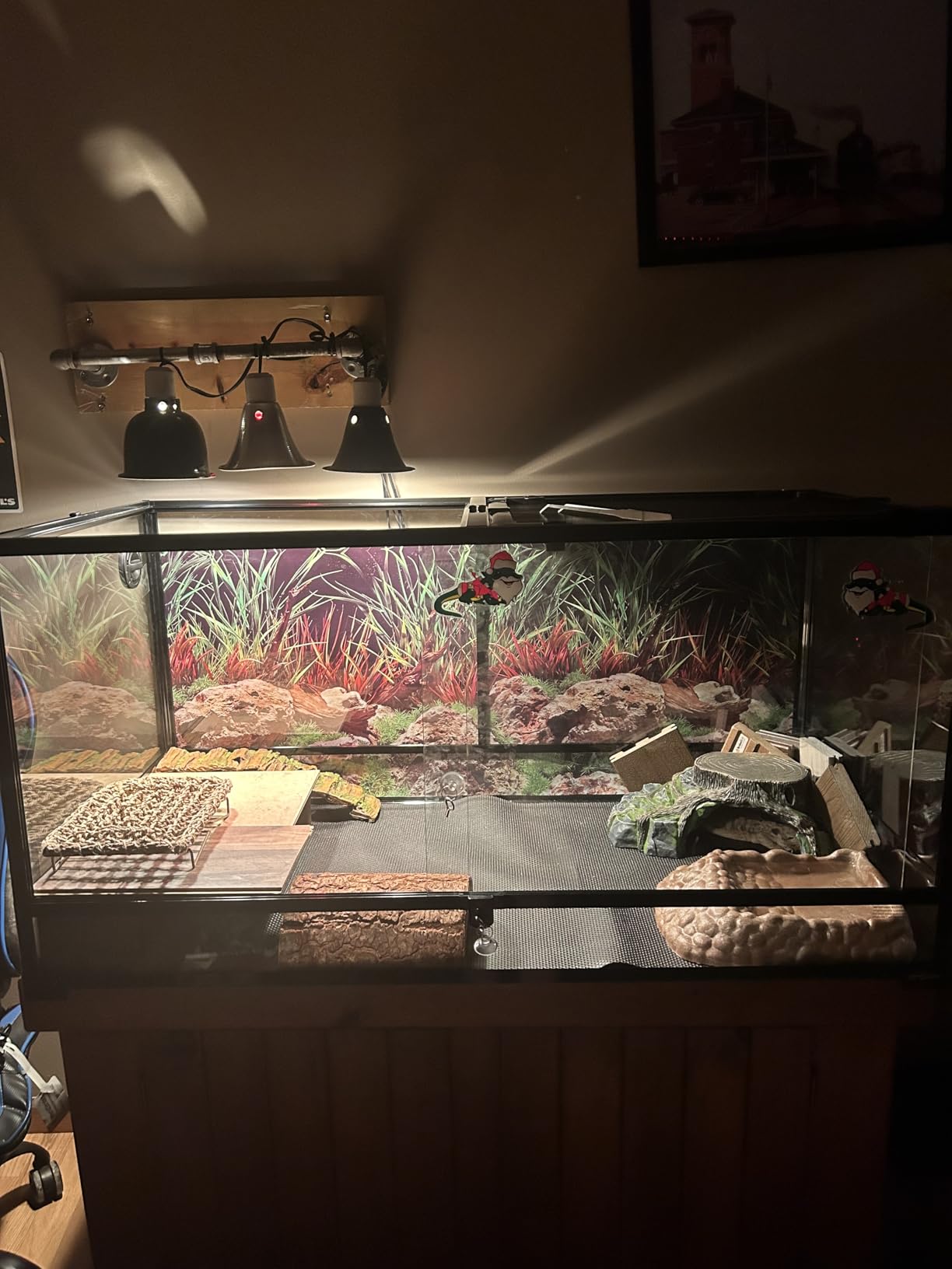 REPTIZOO Large Reptile Terrarium 120 Gallon, Tall & Wide Tempered Glass Reptile Tank 48