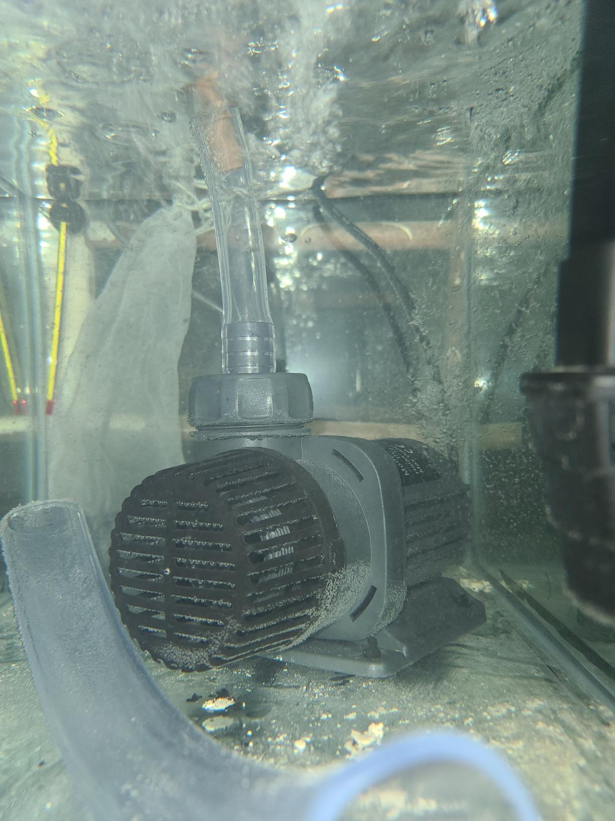 Hygger 2650GPH Quiet Submersible and External 24V Water Pump, with Controller (30%-100% Settings), Powerful Return Pump for Fish Tanks, Aquariums, Ponds, Fountains, Sump, Hydroponics (80W, 19.7ft) customer photo 2