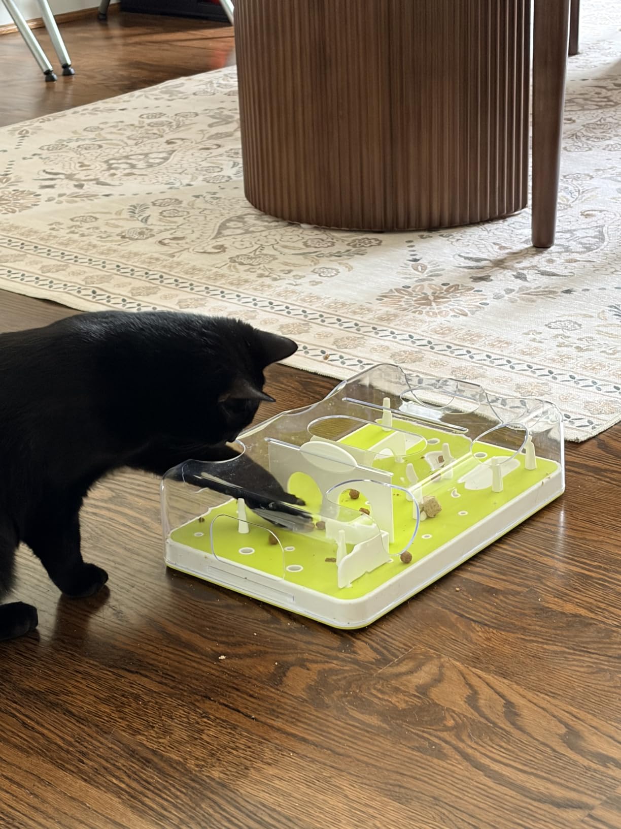 ALL FOR PAWS Interactive Cat Puzzle Feeder & Slow Feed Toy - Mental Stimulation Treat Dispenser Maze for Indoor Cats, Enrichment & Cat Food Toy customer photo 1