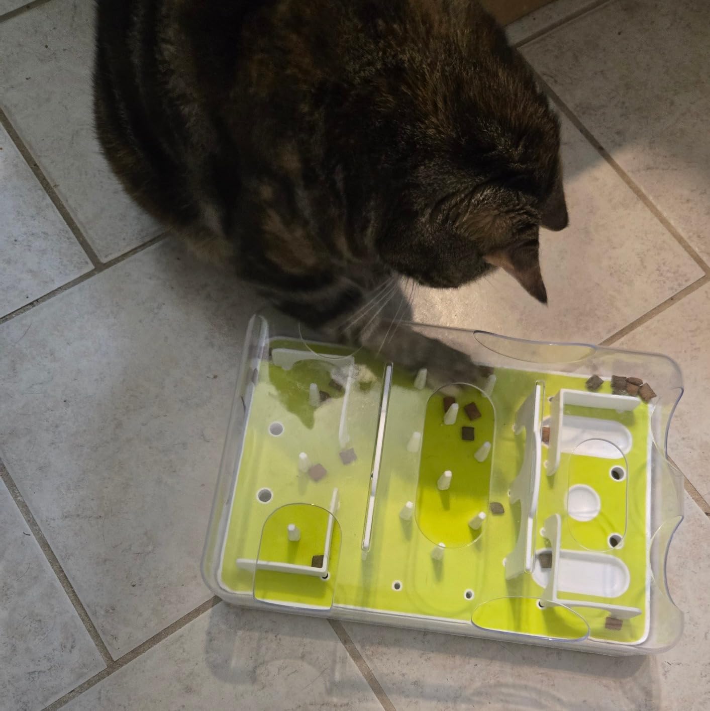 ALL FOR PAWS Interactive Cat Puzzle Feeder & Slow Feed Toy - Mental Stimulation Treat Dispenser Maze for Indoor Cats, Enrichment & Cat Food Toy customer photo 2