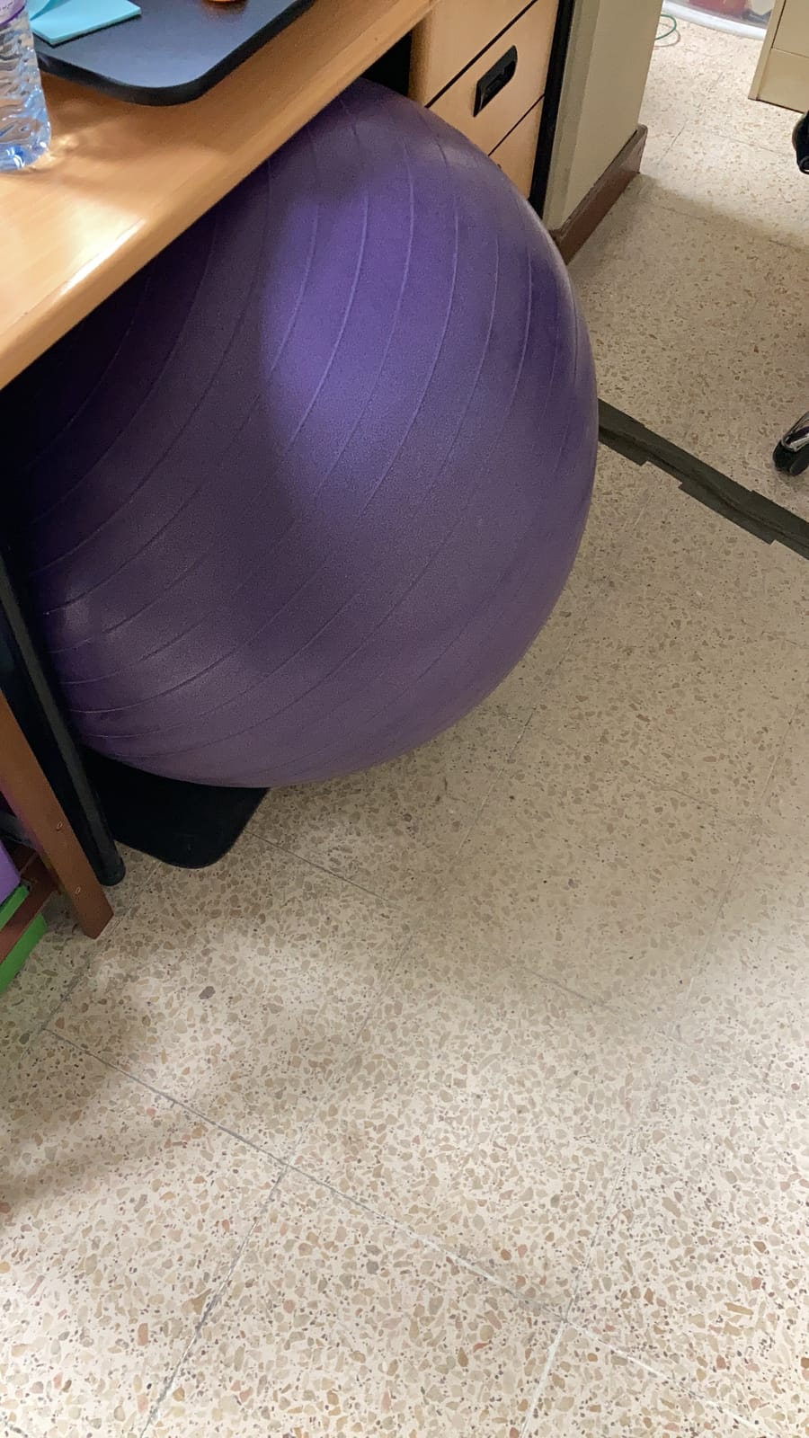 Gaiam Essentials Balance Ball & Base Kit, Yoga Ball Chair, Exercise Ball with Inflatable Ring Base for Home or Office Desk, Includes Air Pump customer photo 1