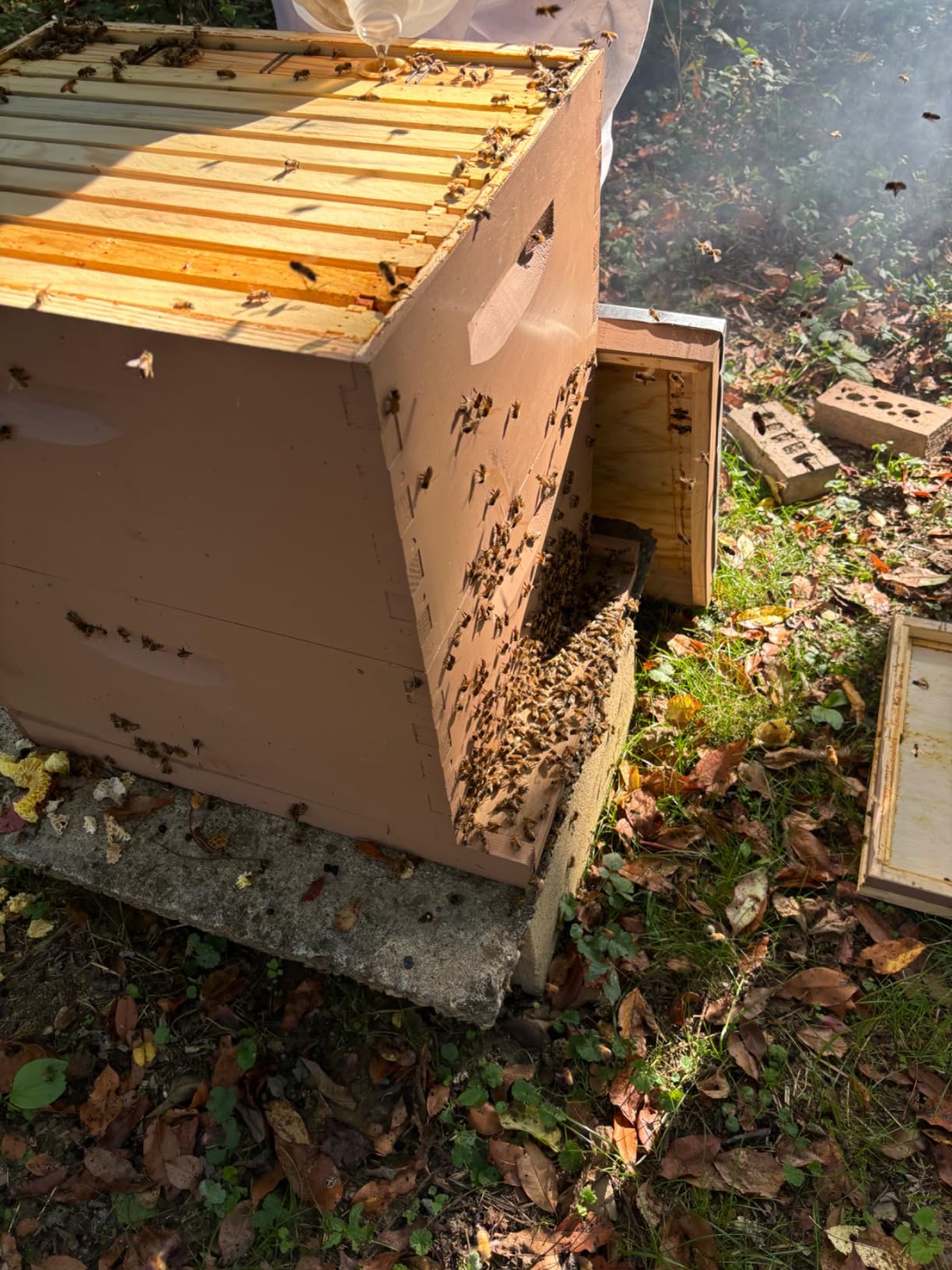 Bee Cozy Winter Bee Hive Wrap - 10 Frame - 2 Story Deep customer photo 2
